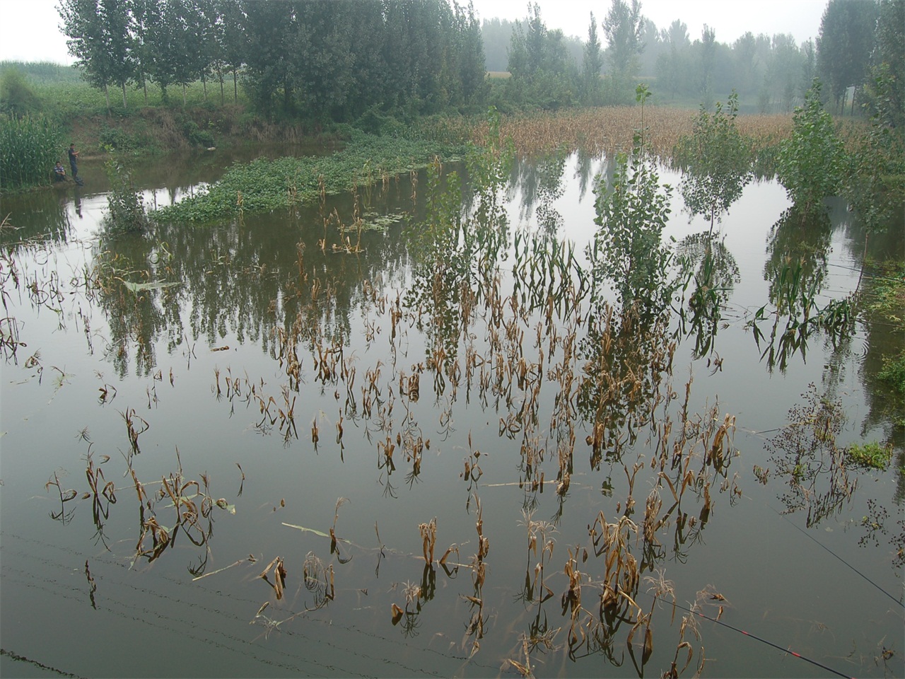 江江河