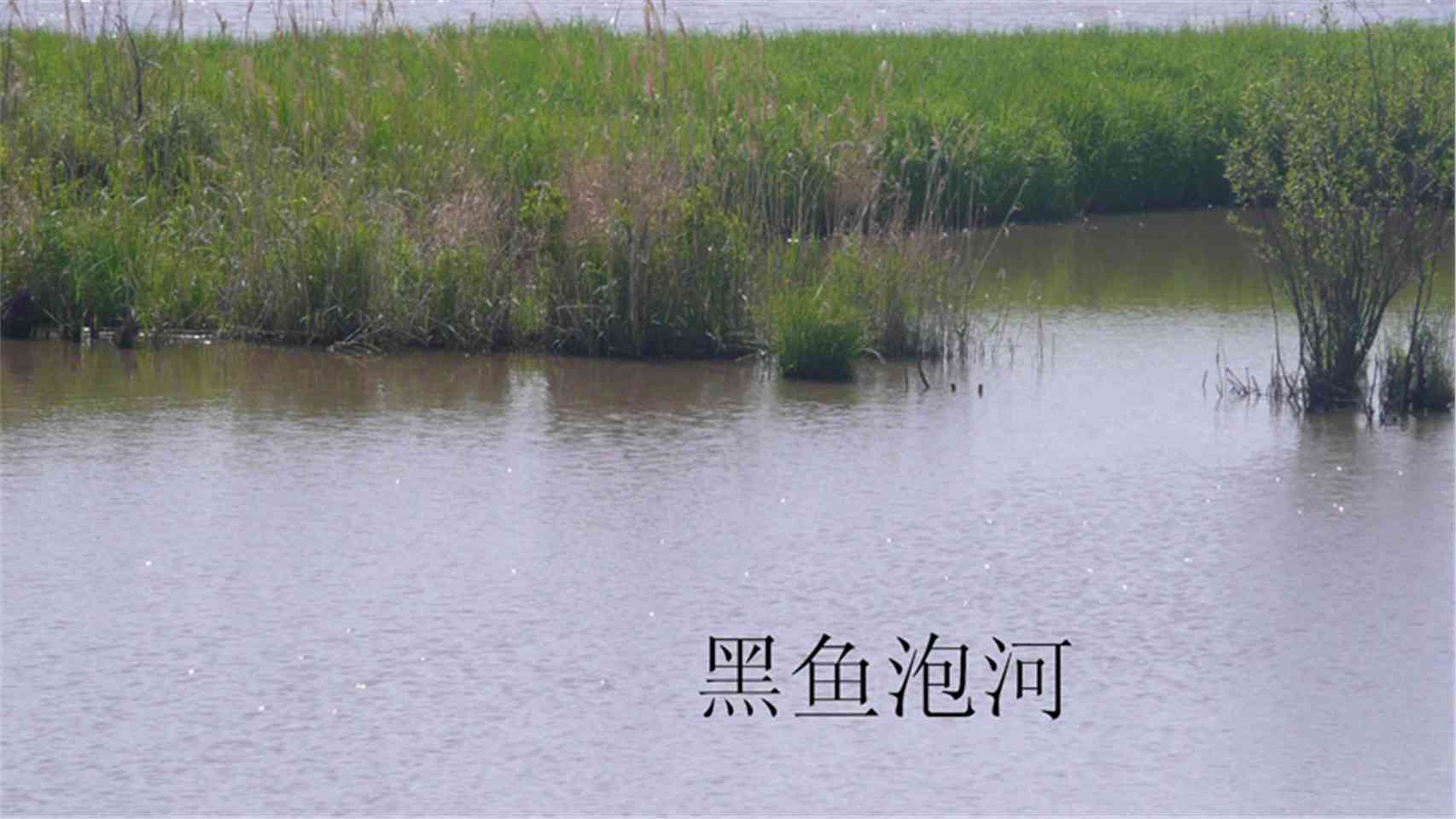 小黑鱼泡河