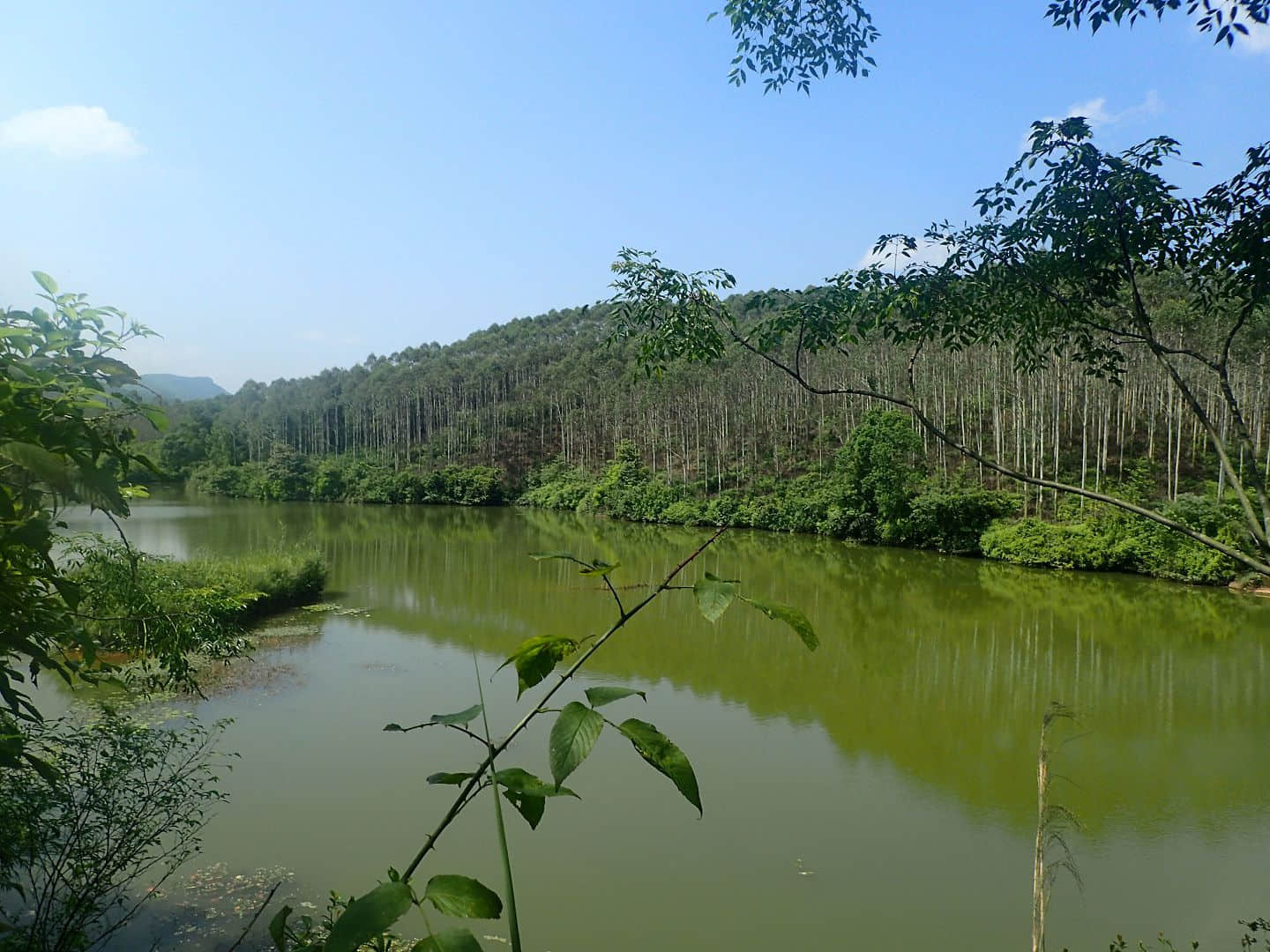 长塘水库