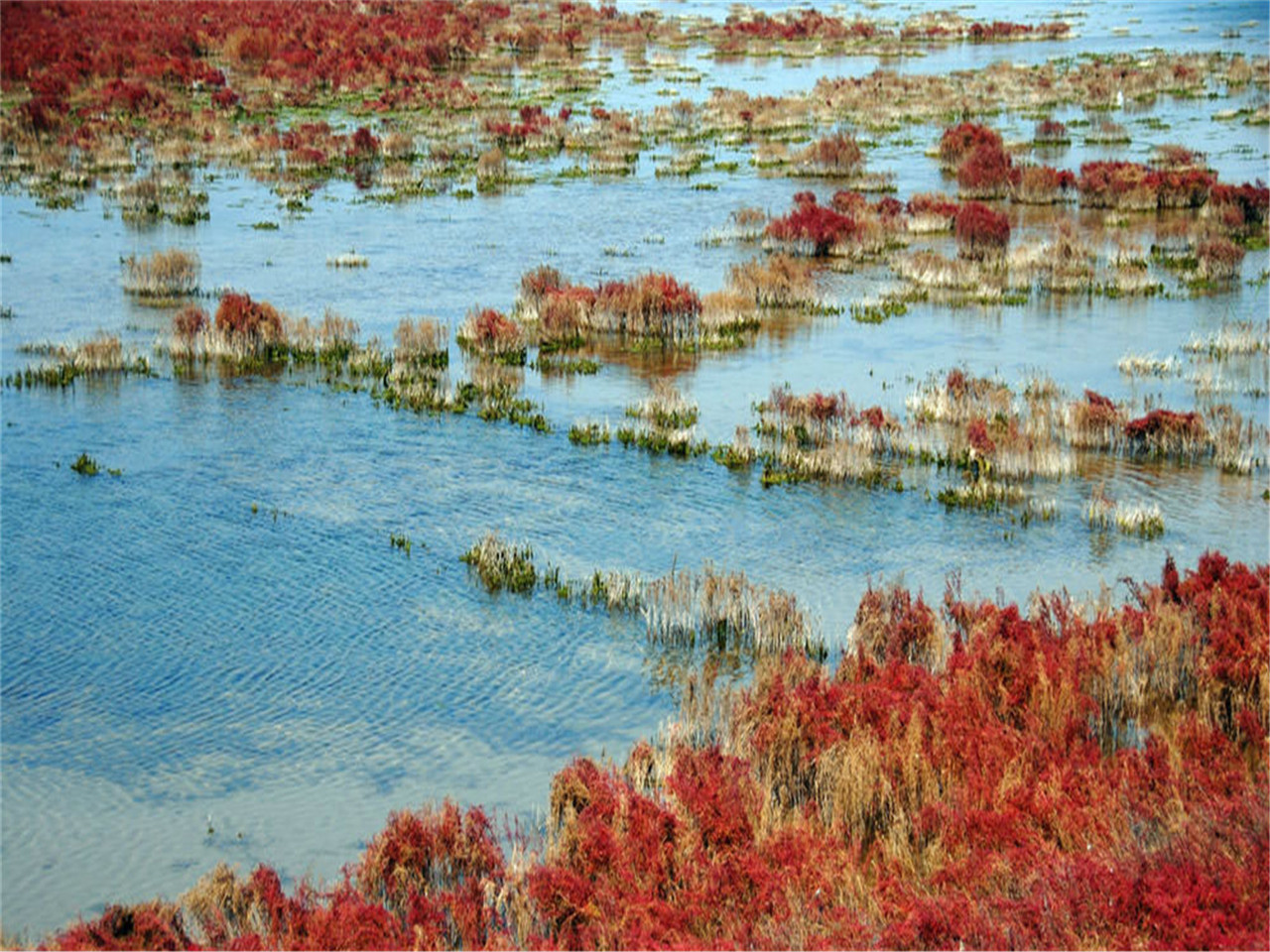 山东黄河岛国家级湿地公园