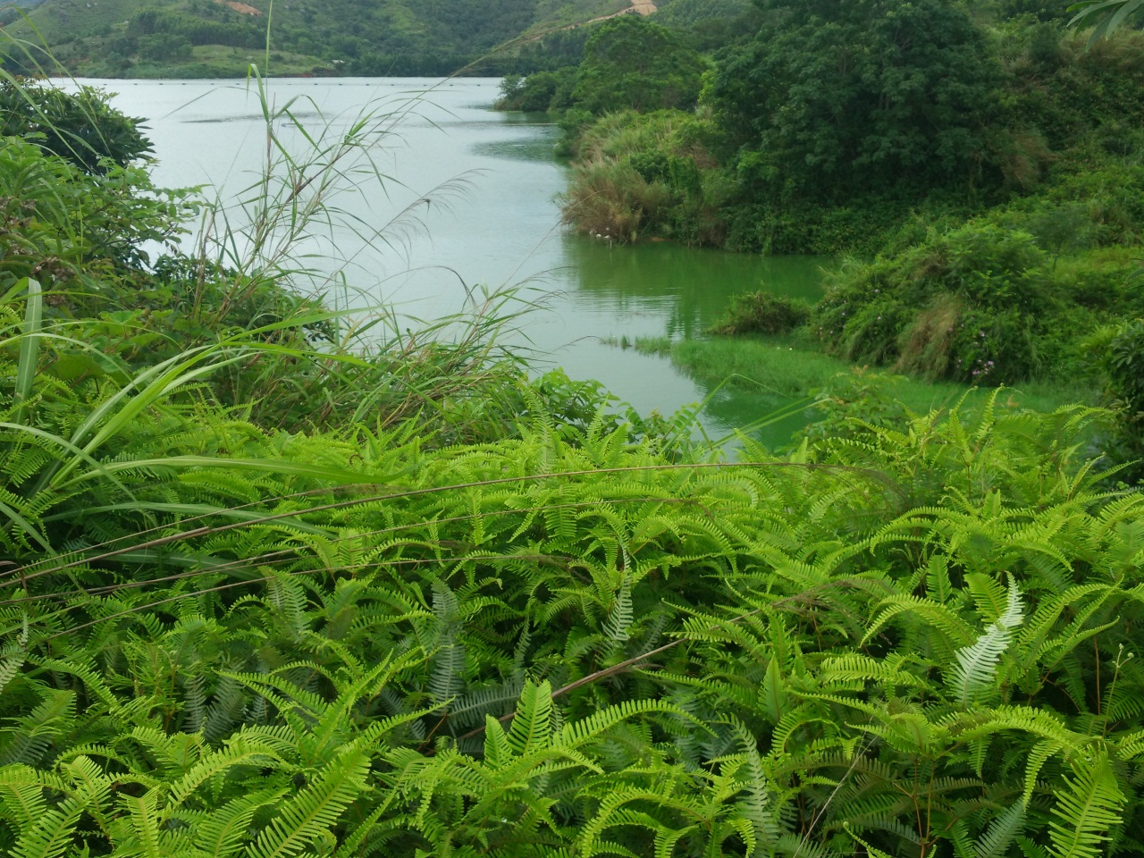 高蓝塘水库