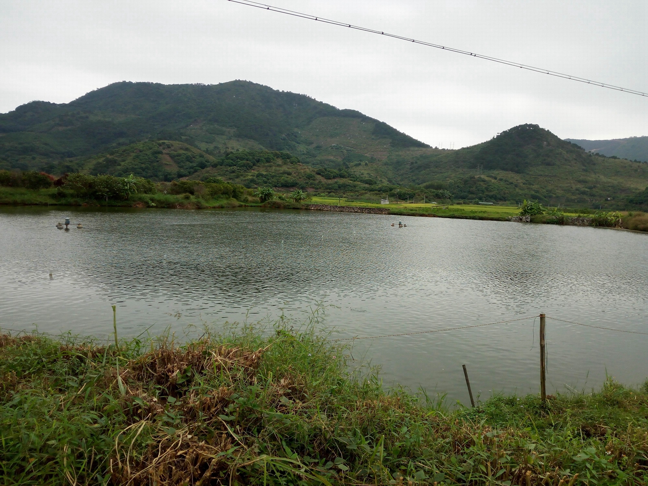 黑水塘水库