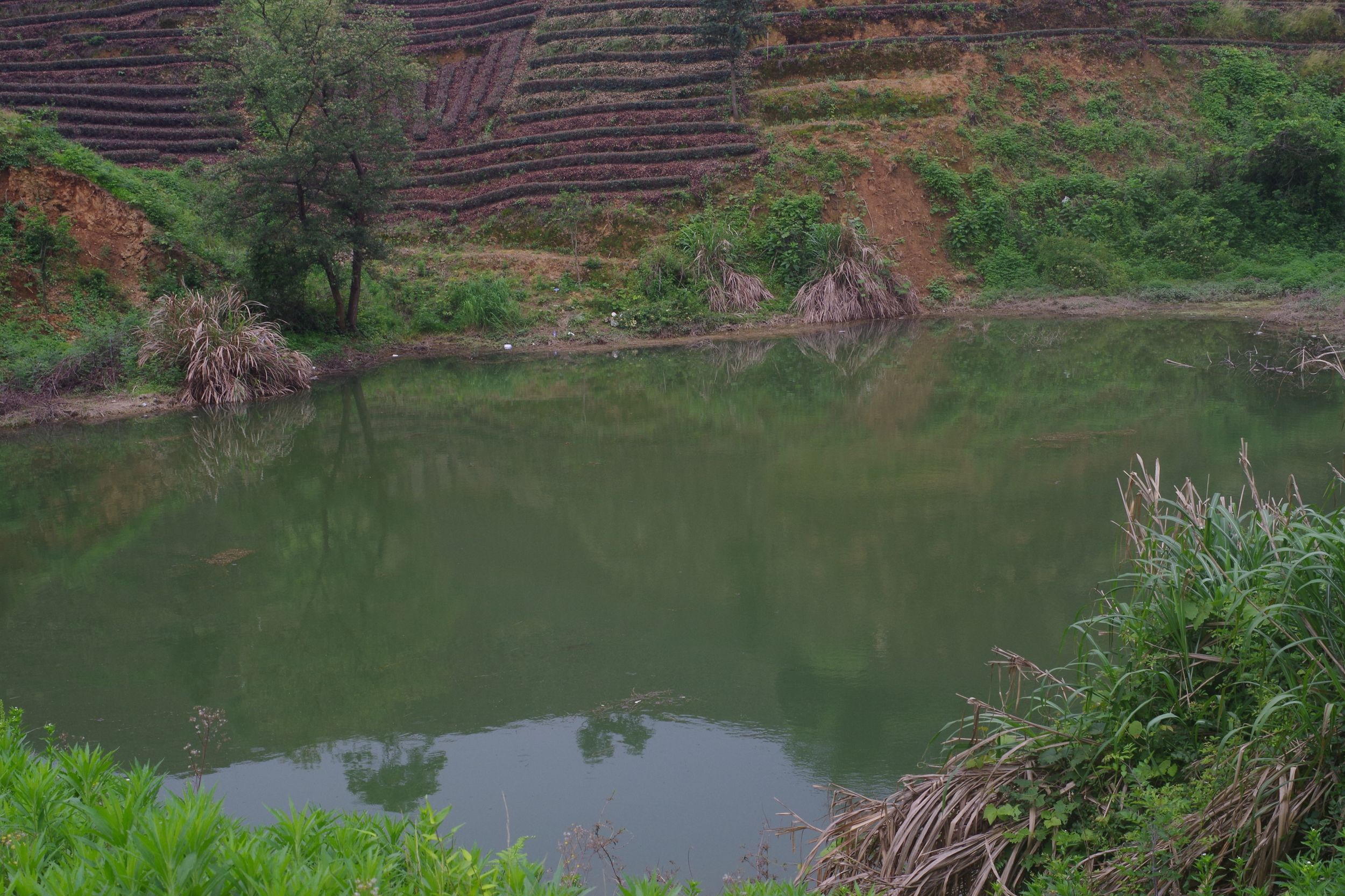 石溪坑水库