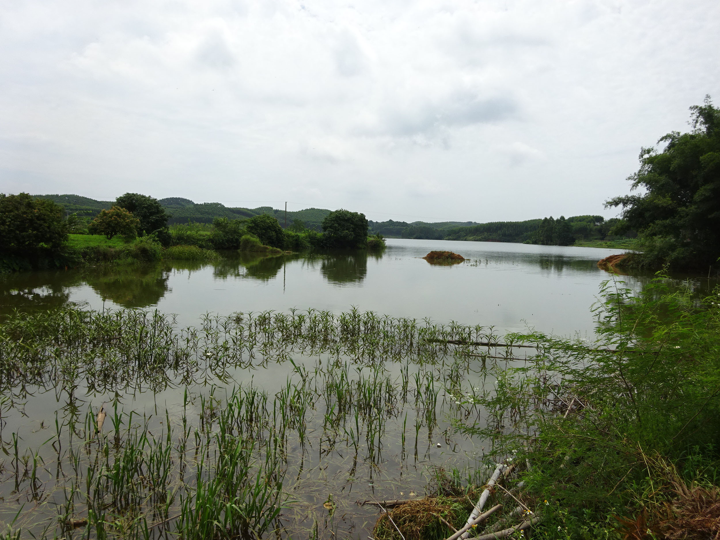 廖村河