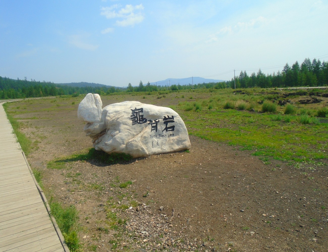 龟背岩