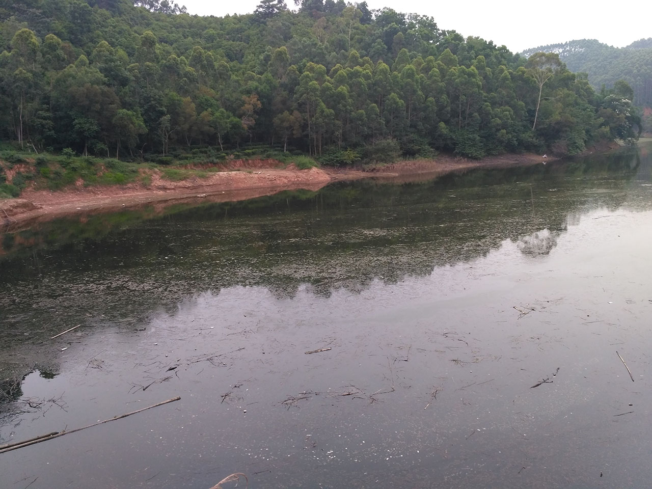 顶安水库