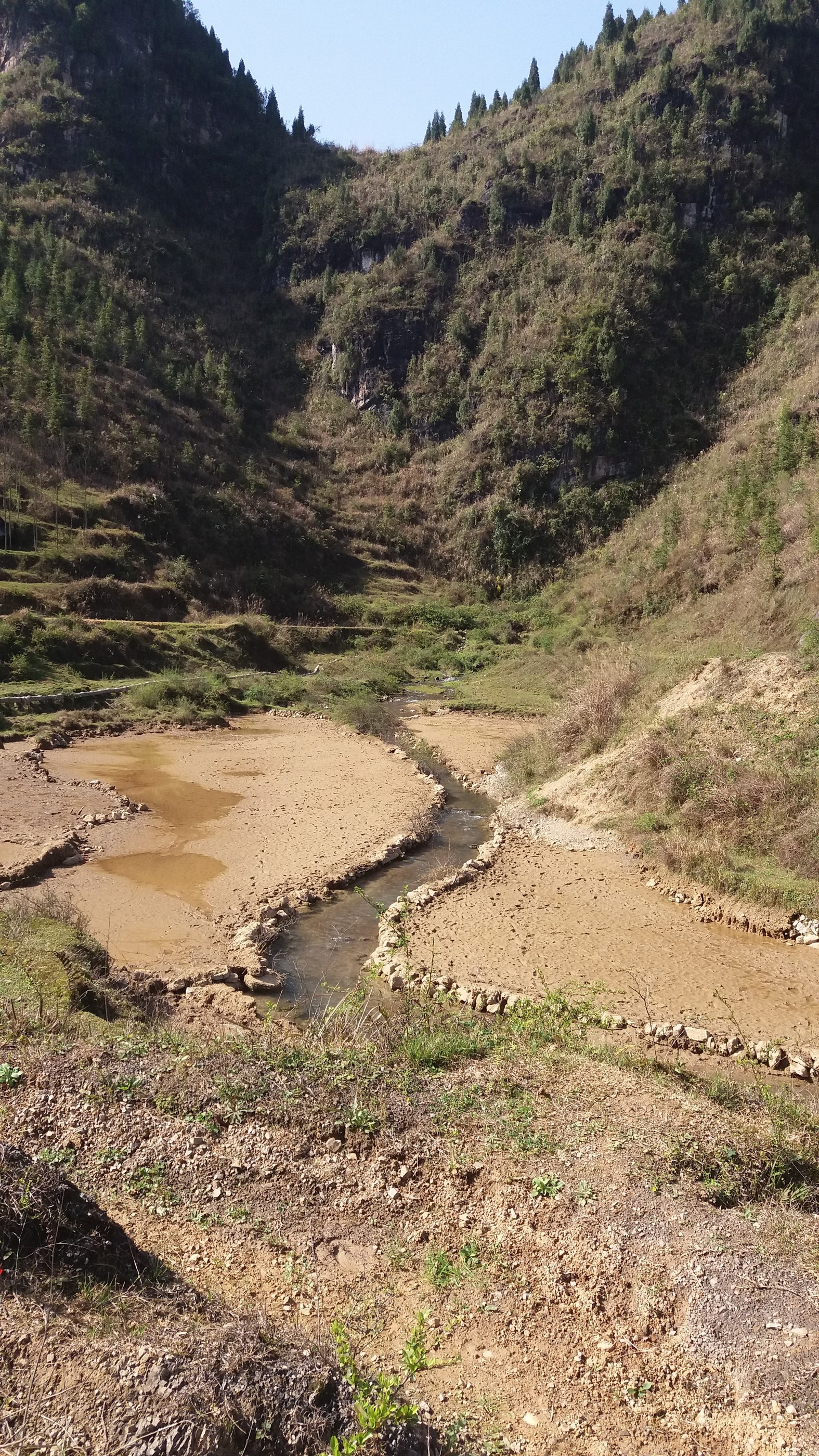 水龙泉