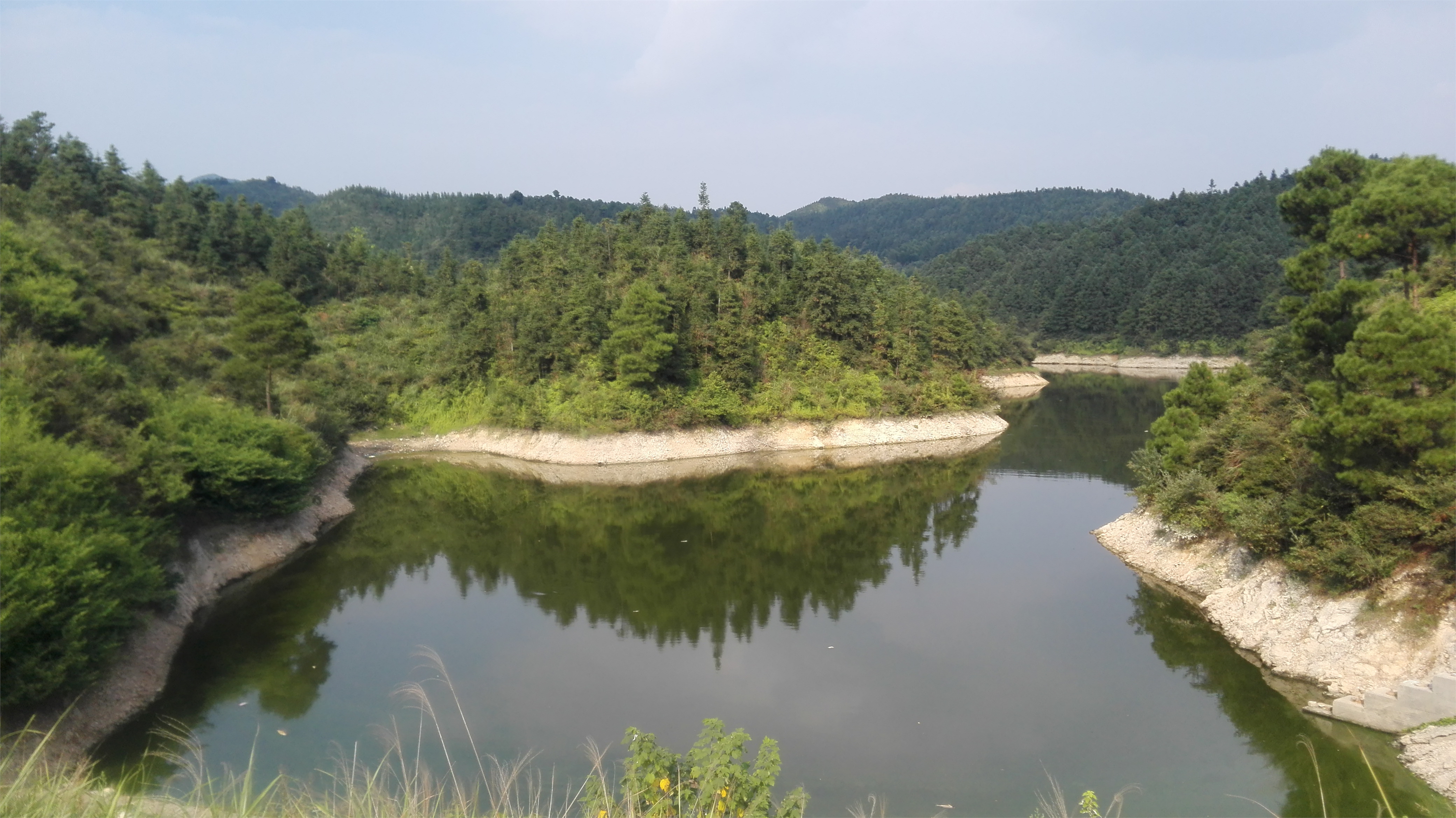 信冲水库湿地保护区