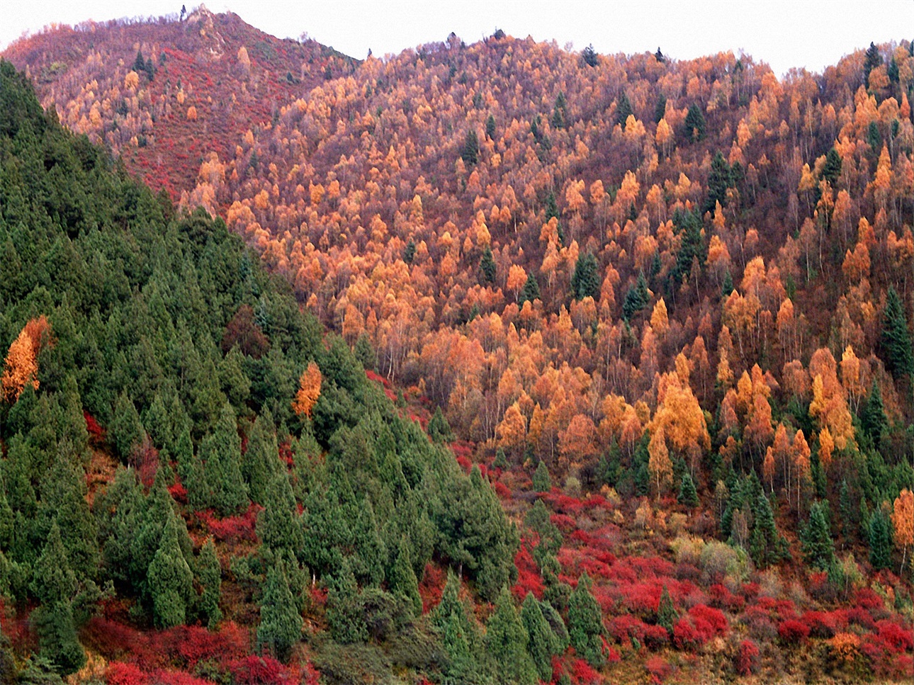 元甫达坂景区