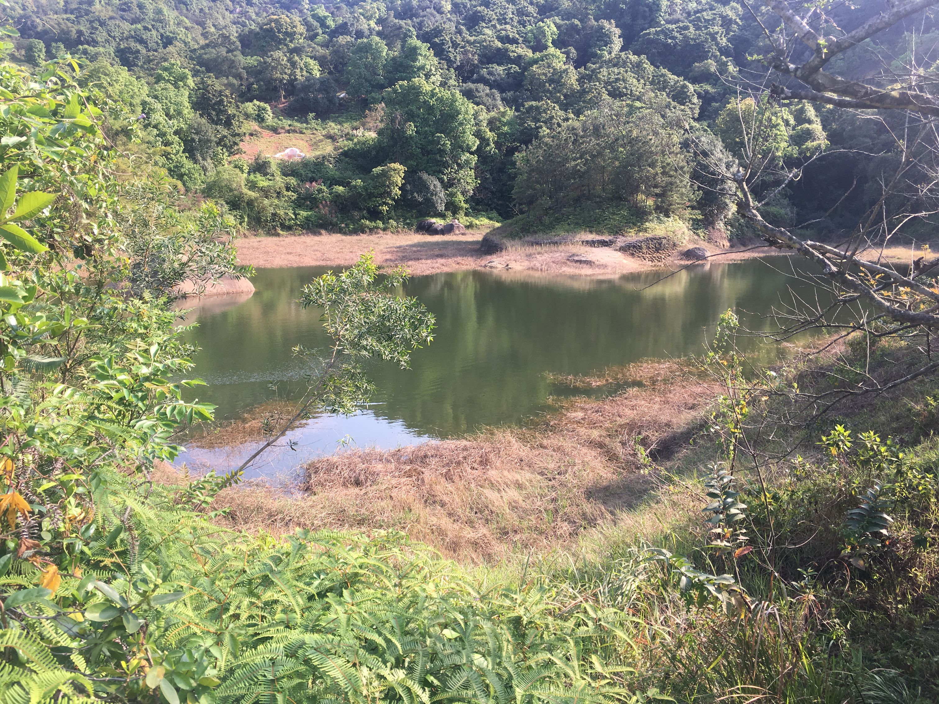 树蓝水库