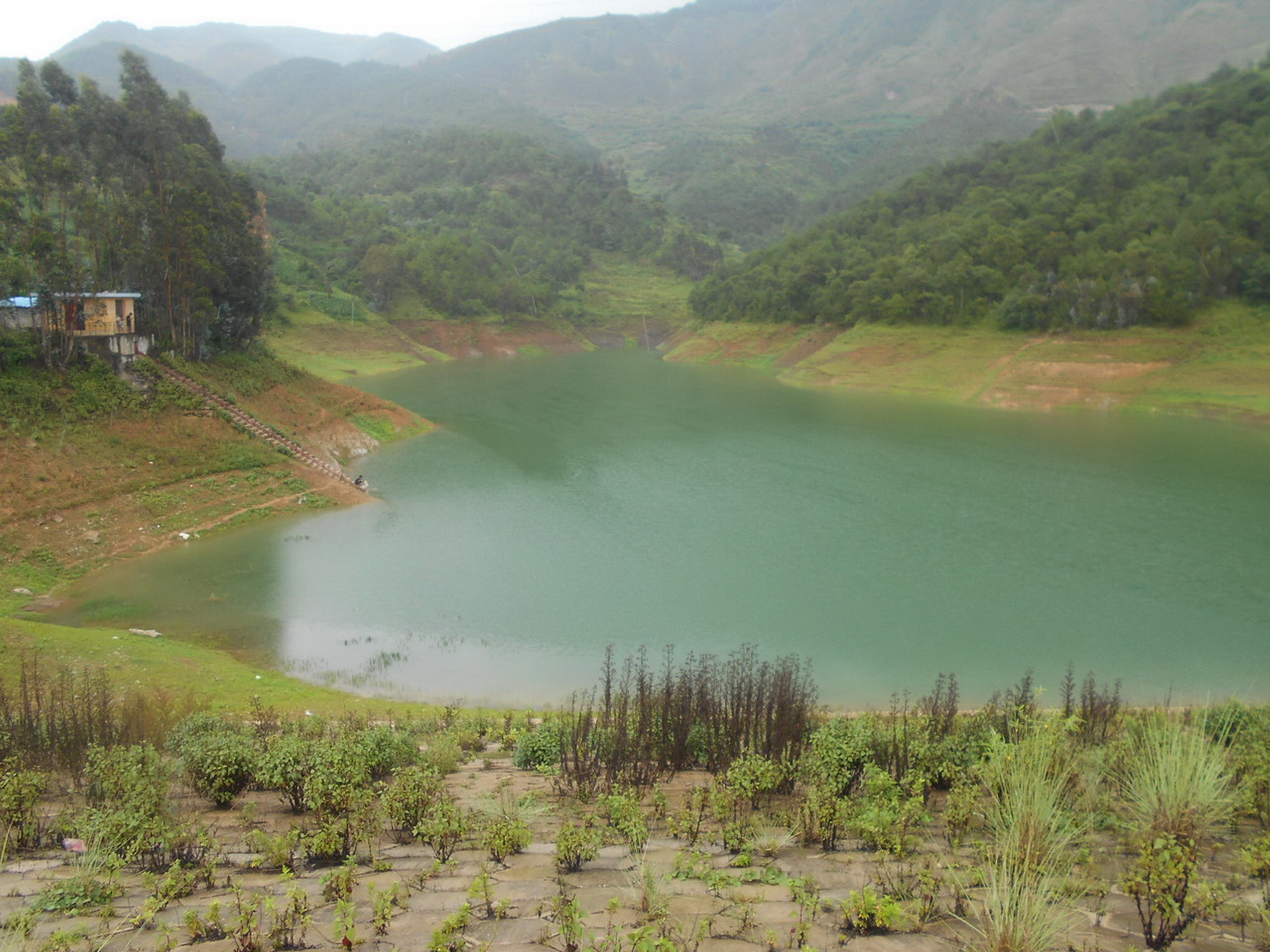 杨家河水库