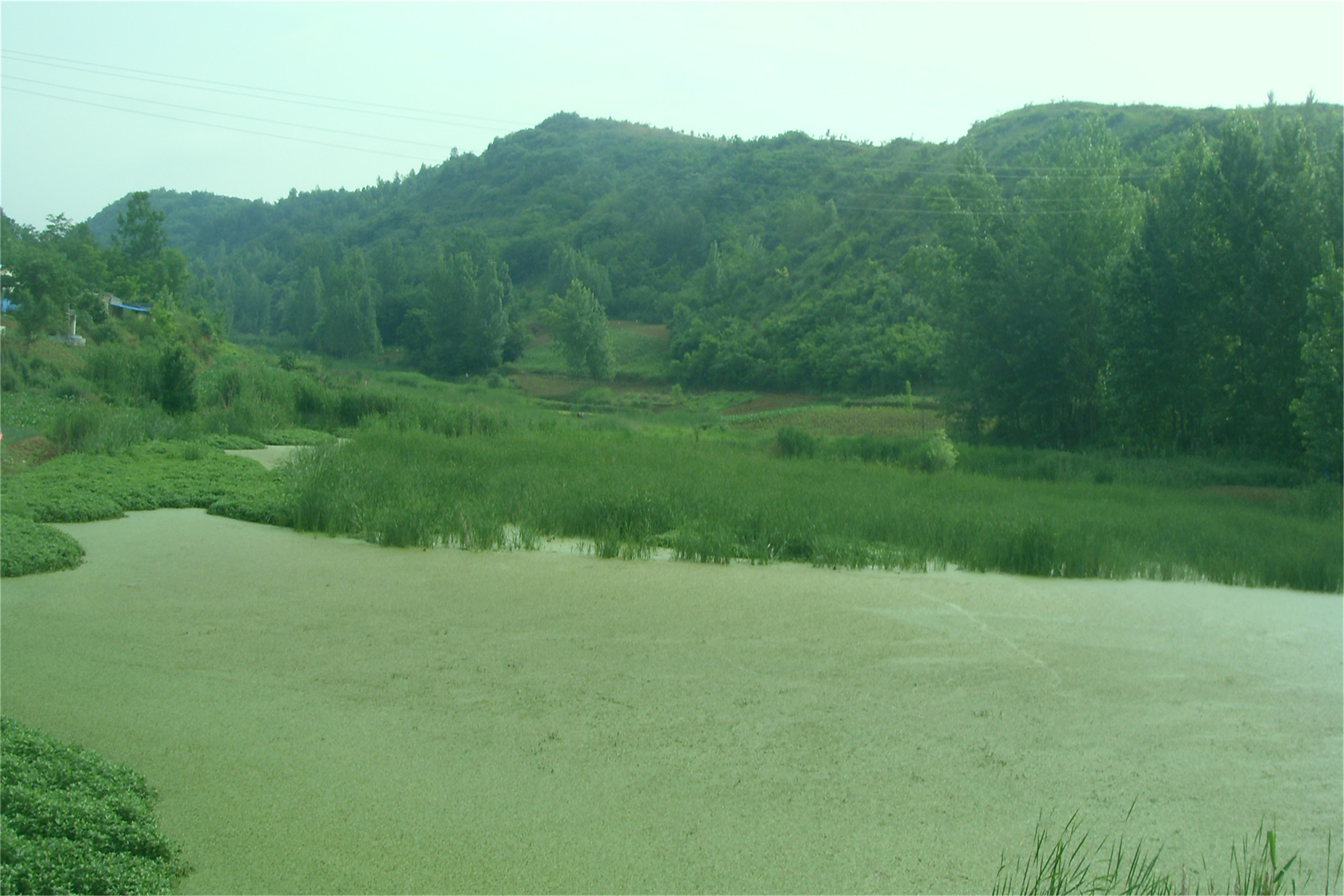 张氏沟水库