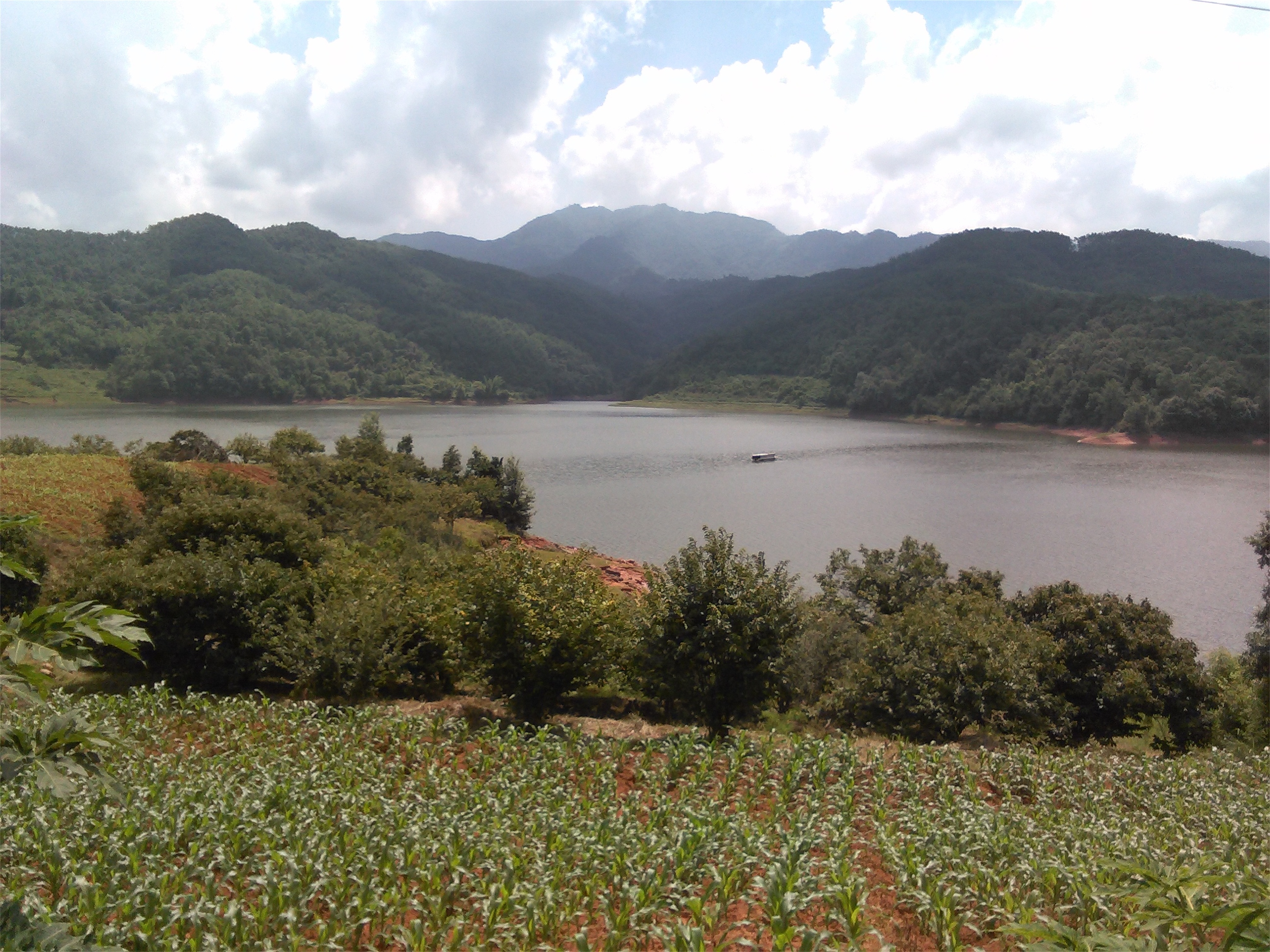 芒岛水库