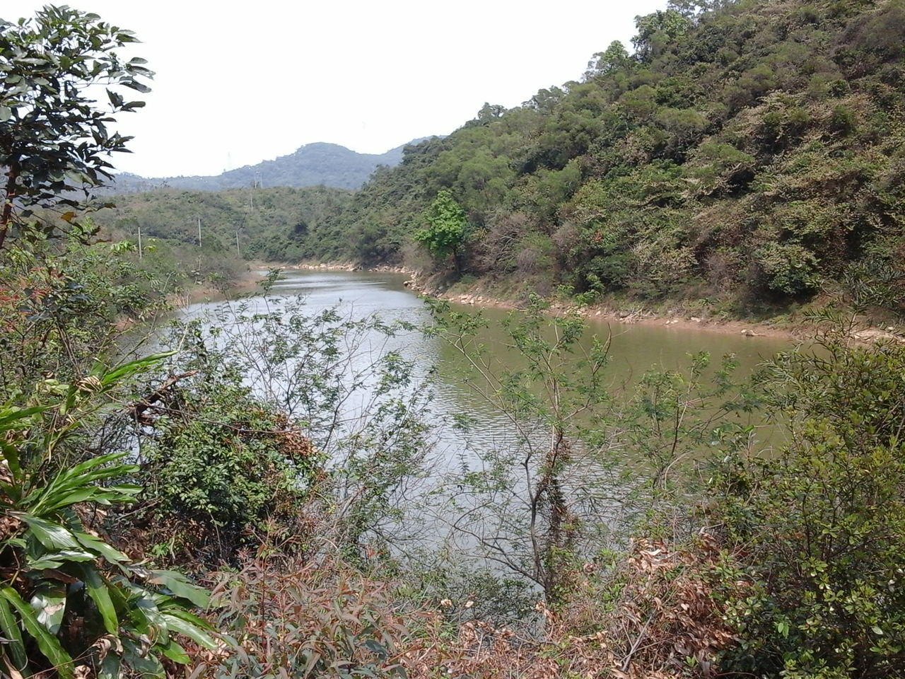 上水水库