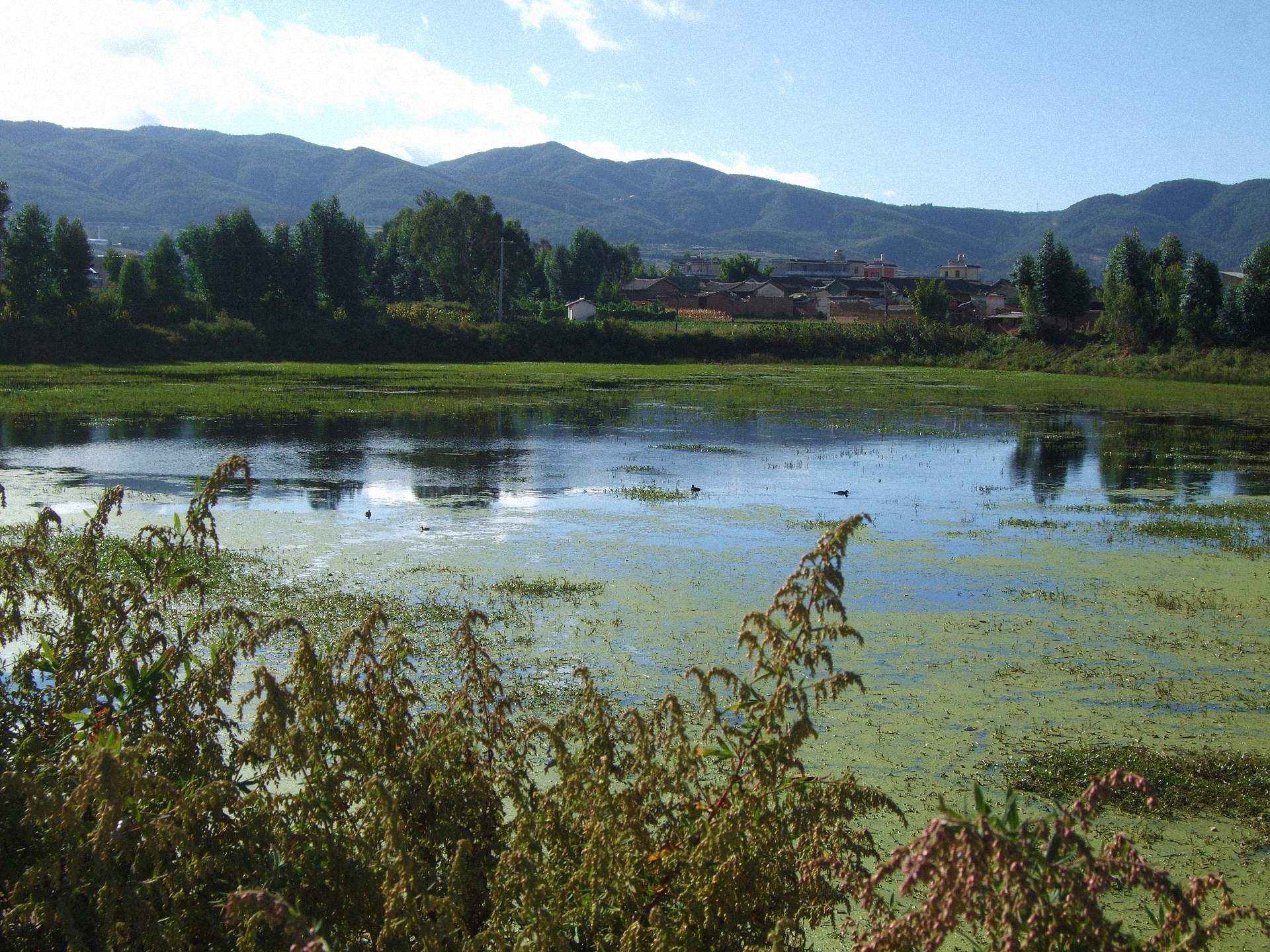 赵营中海子水库