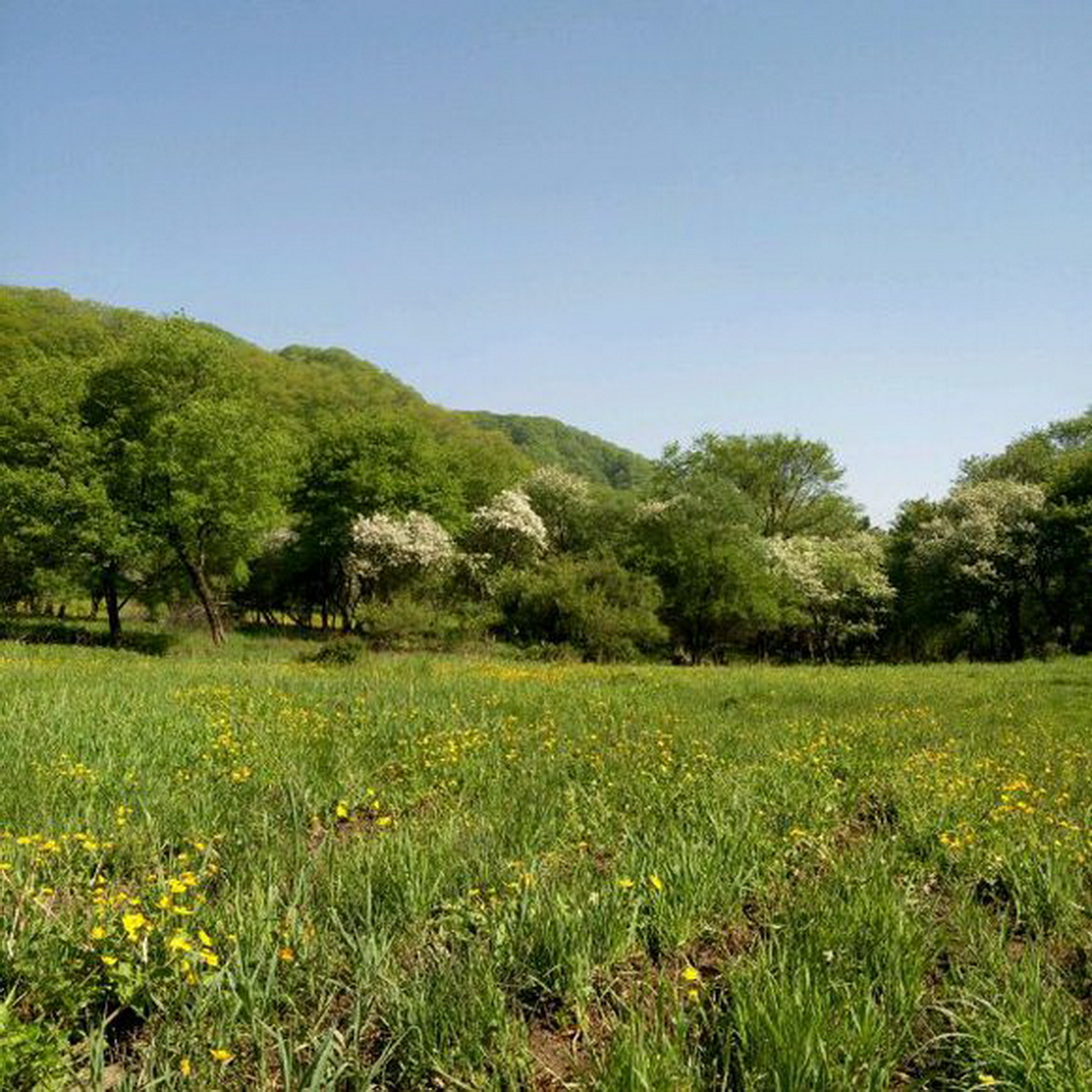 凤县宽滩原生态自然湿地公园