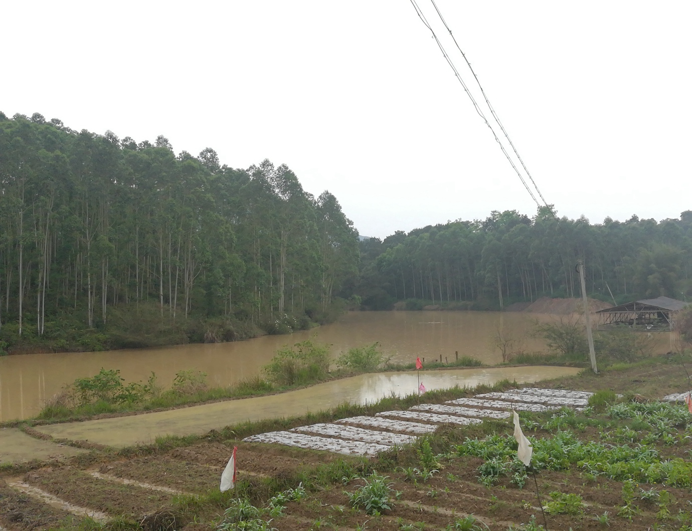 西峦山水库