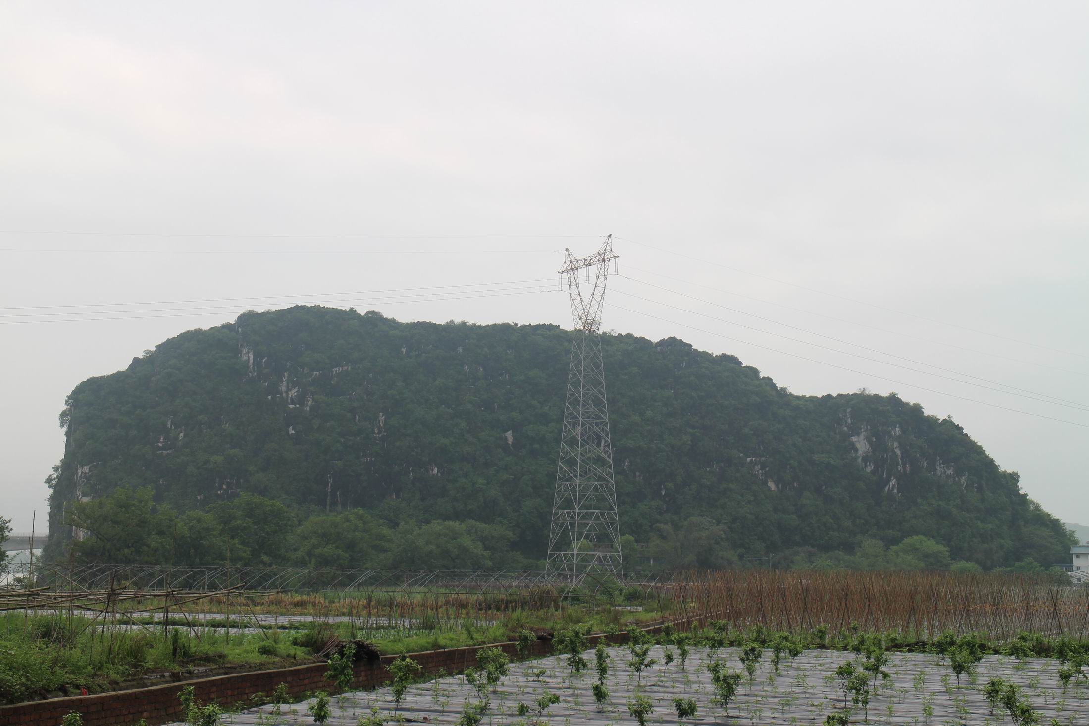 横山洲