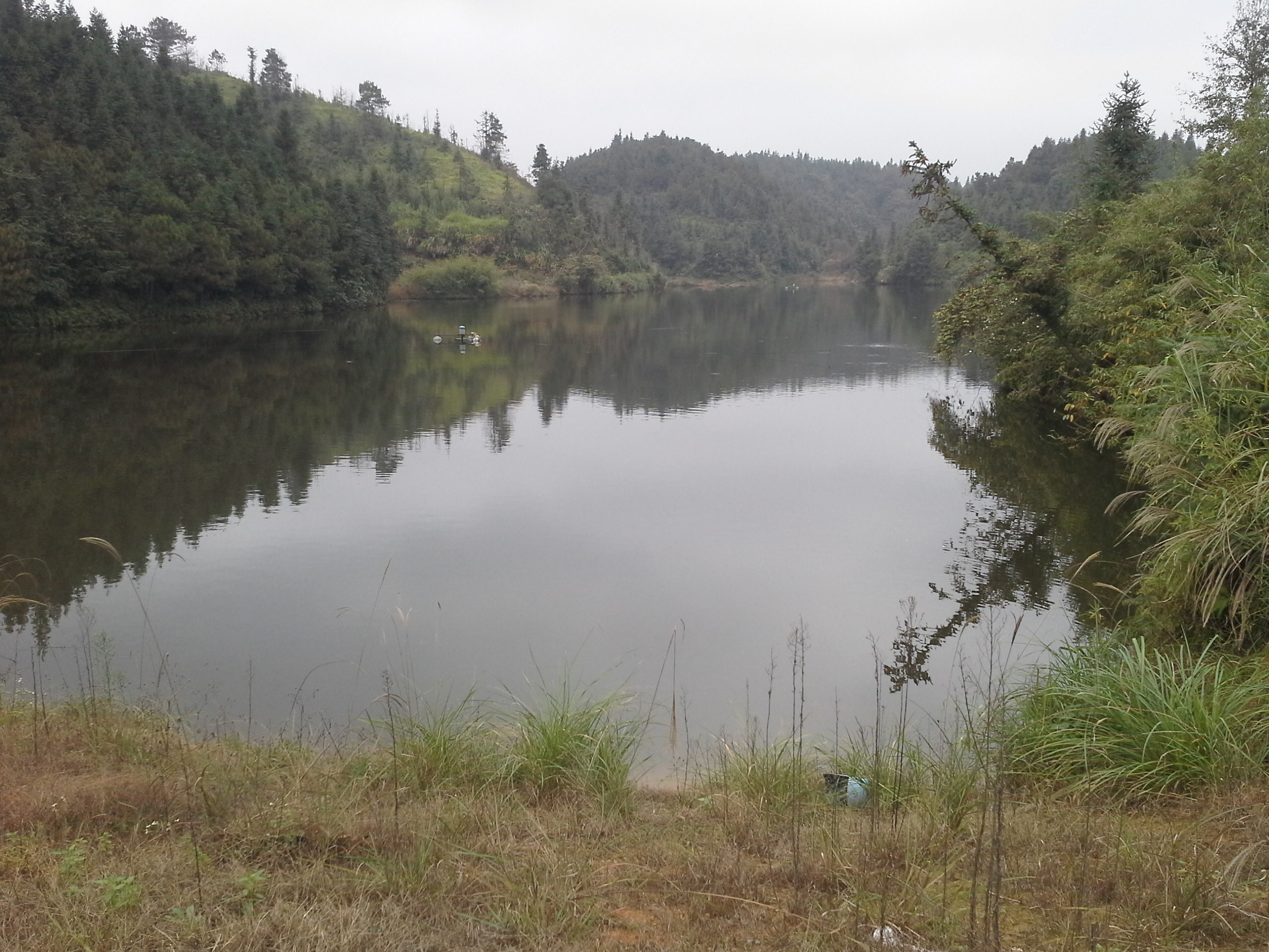 风城里水库