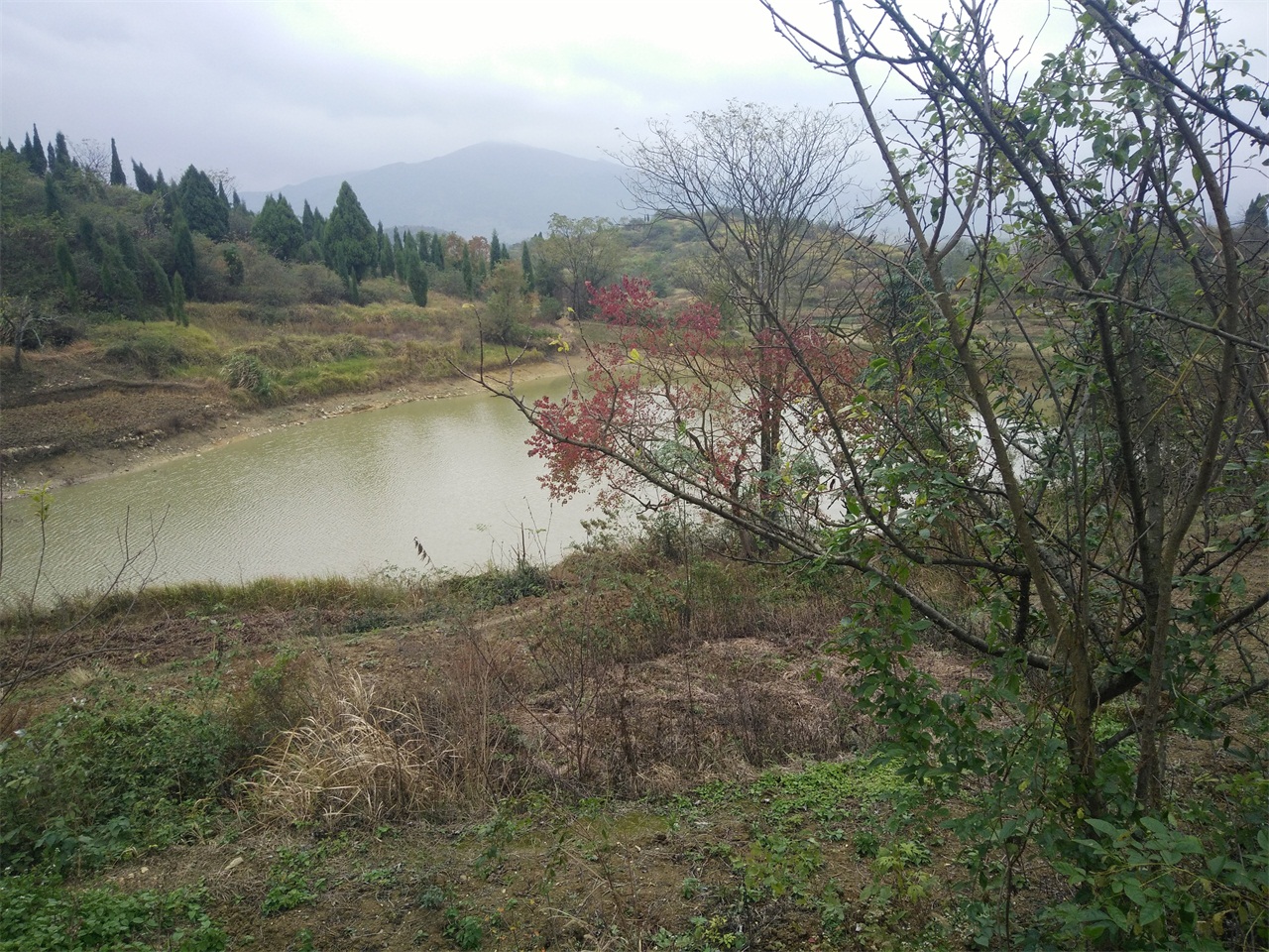 富竹山水库