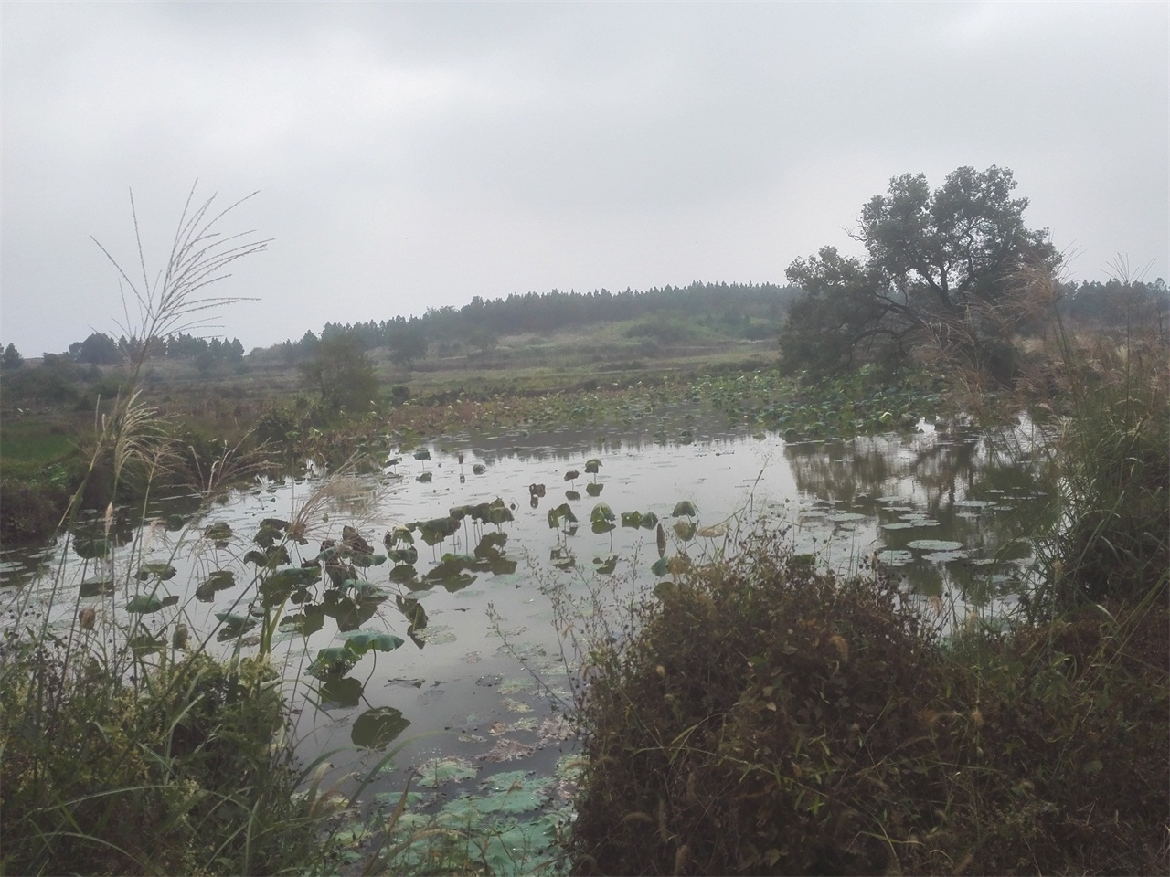 对门冲水库