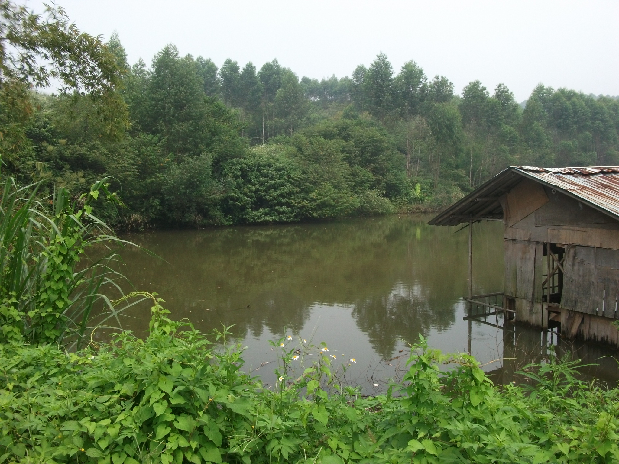 大山塘水库