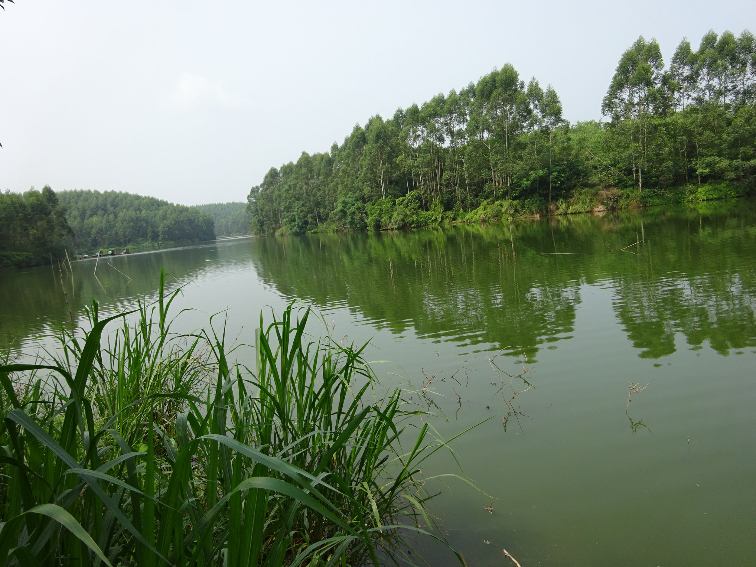 牛屎塘水库