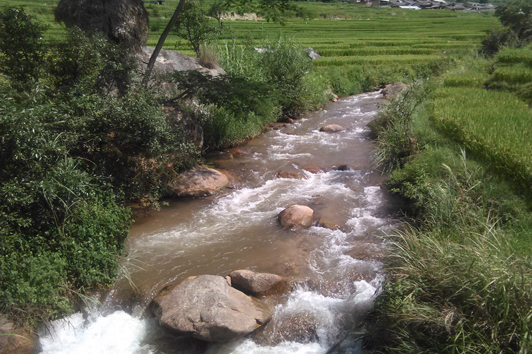 龙岔河河口