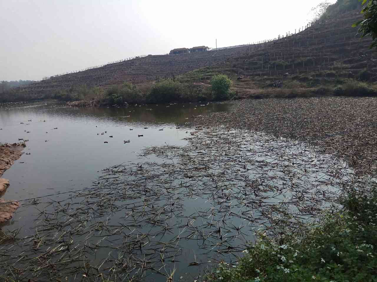 那忍水库