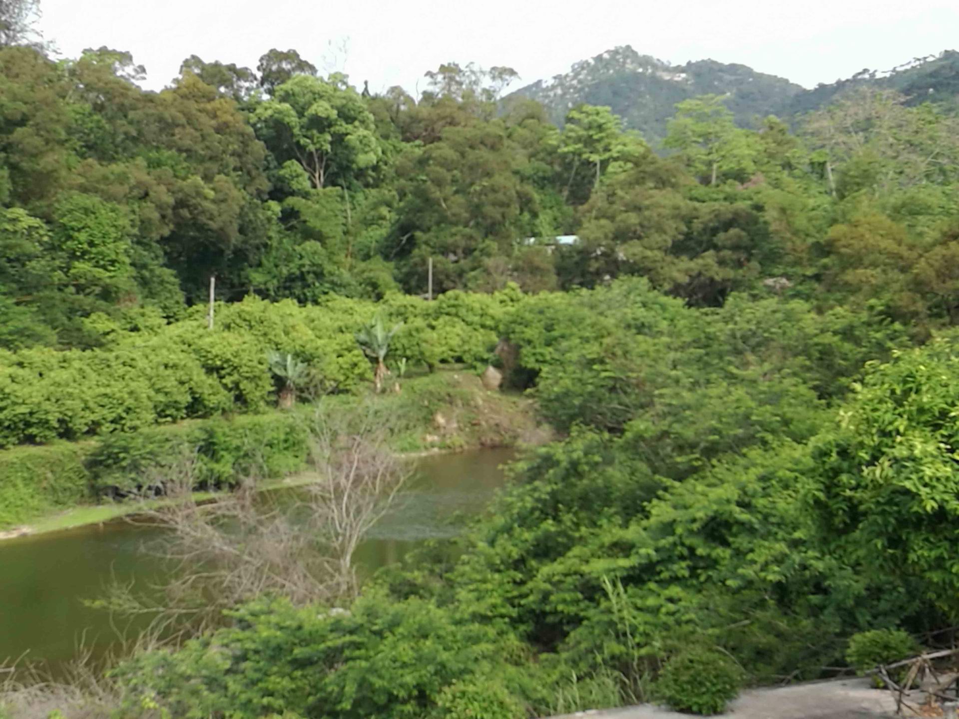 松树门水库