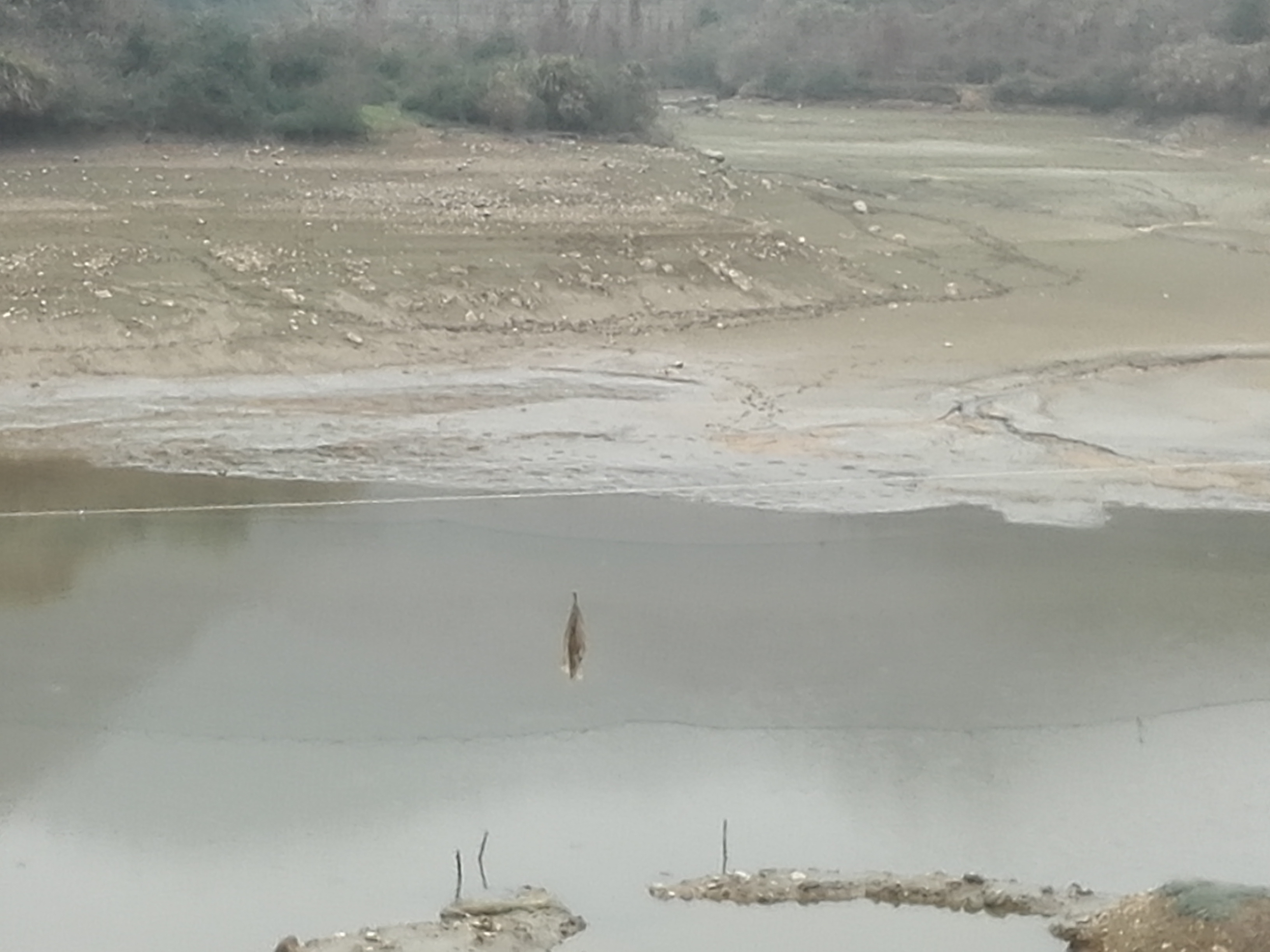 雷打石水库