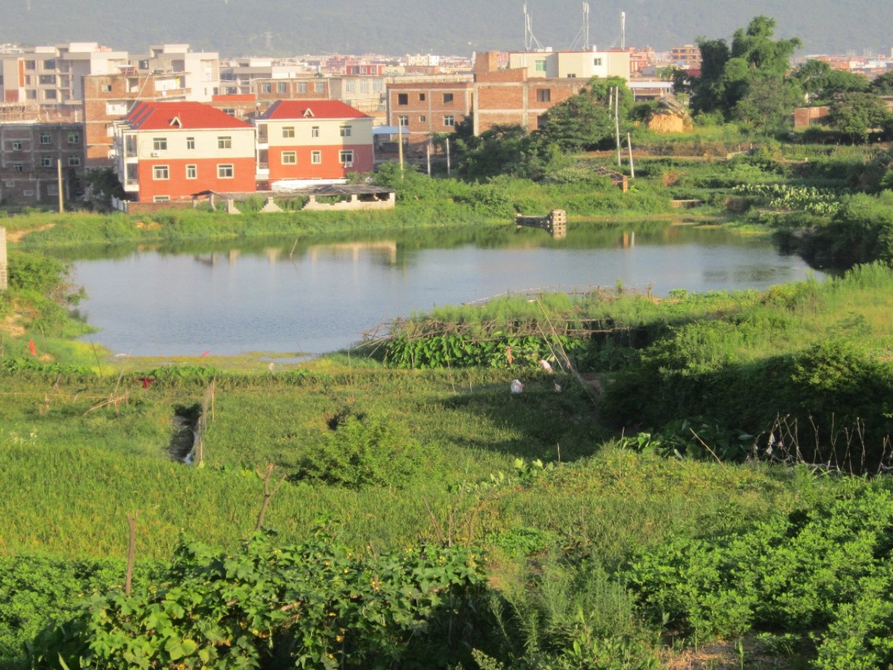 庵尾水库