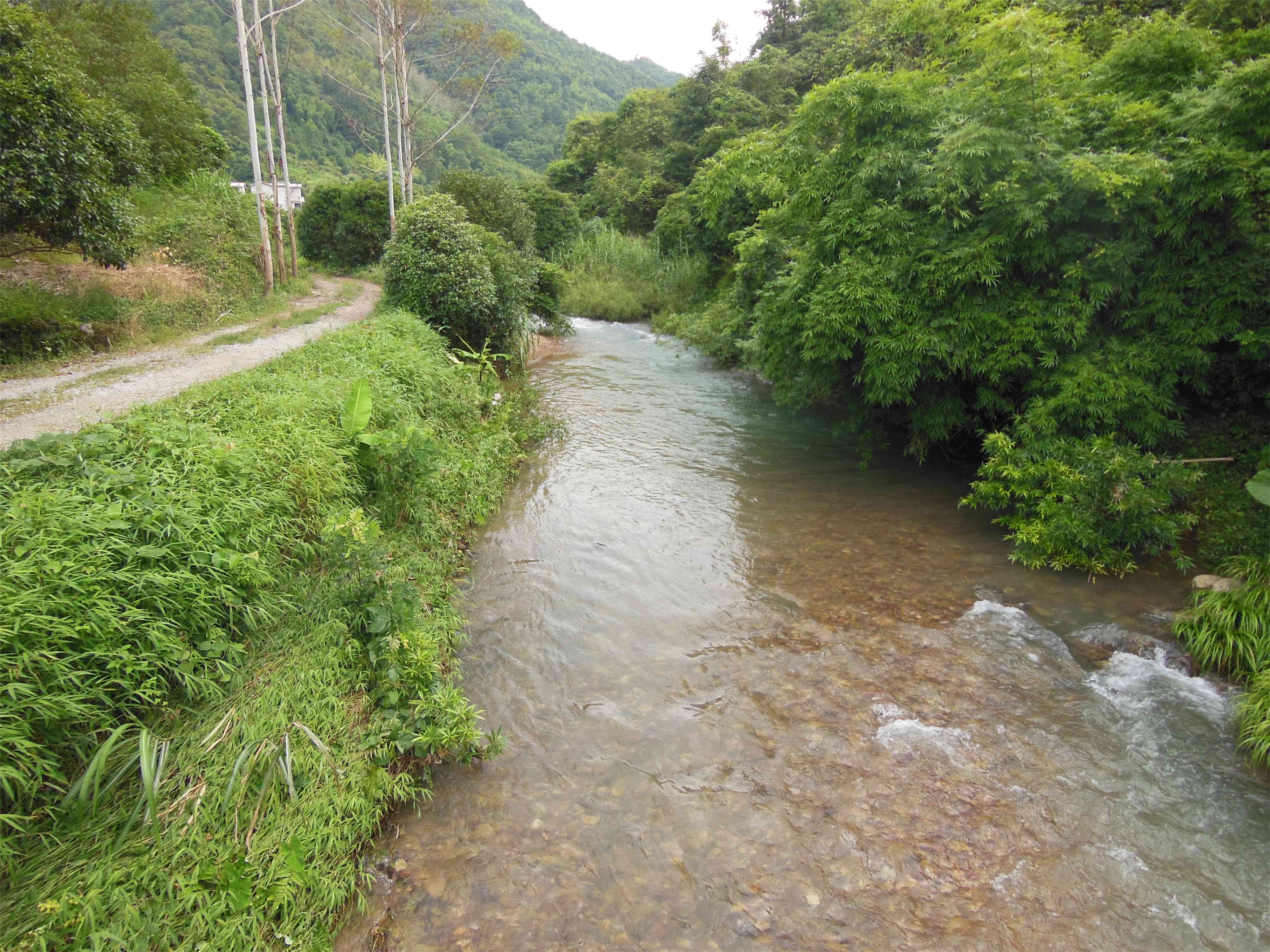 岭背小河