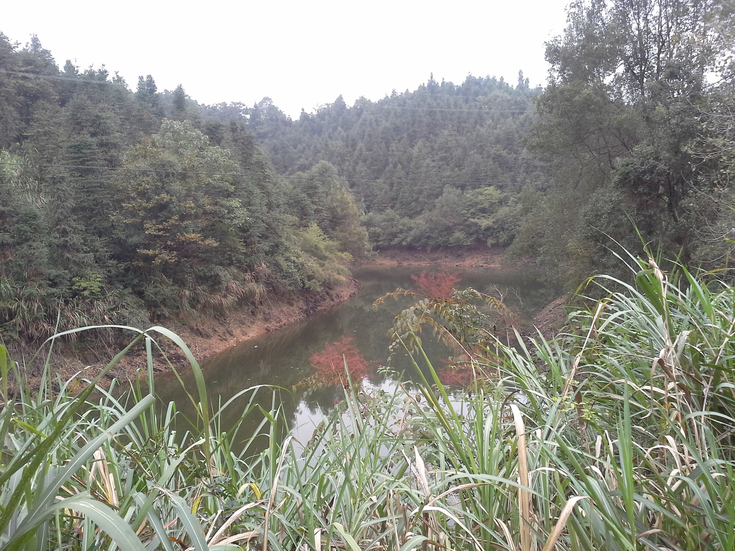 立山塘水库