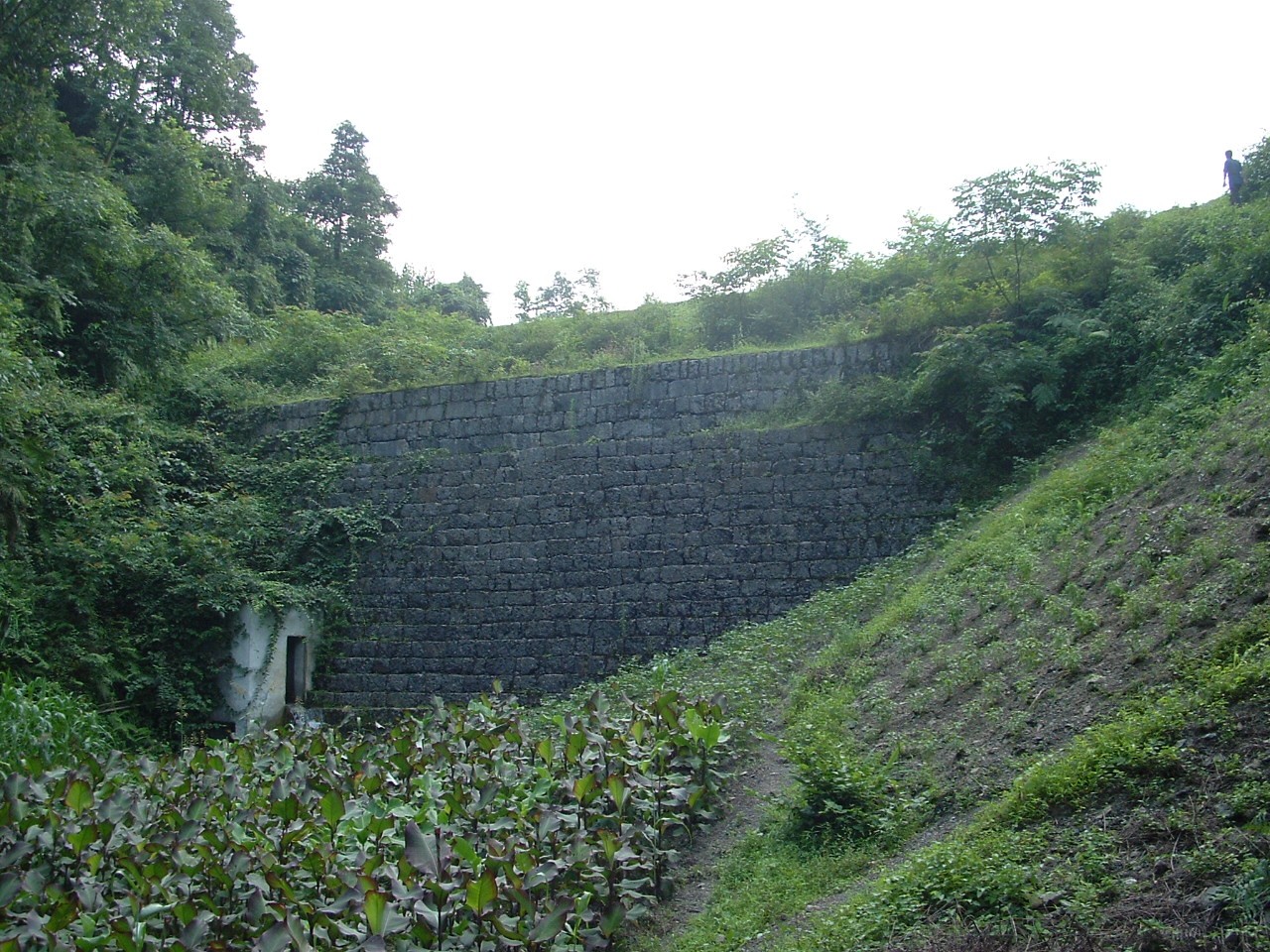 中坪水库