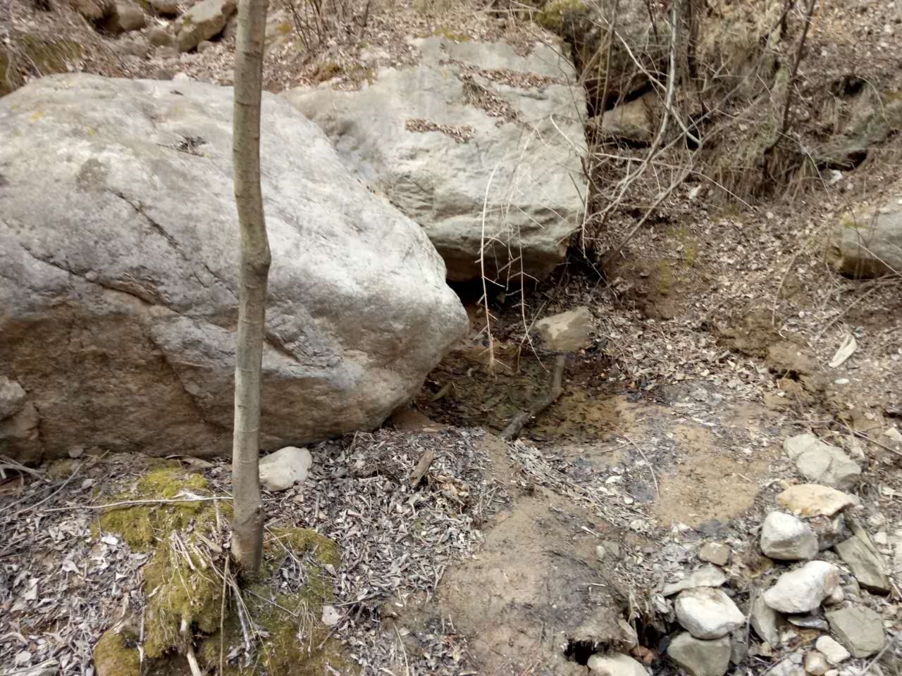 曹家庄泉