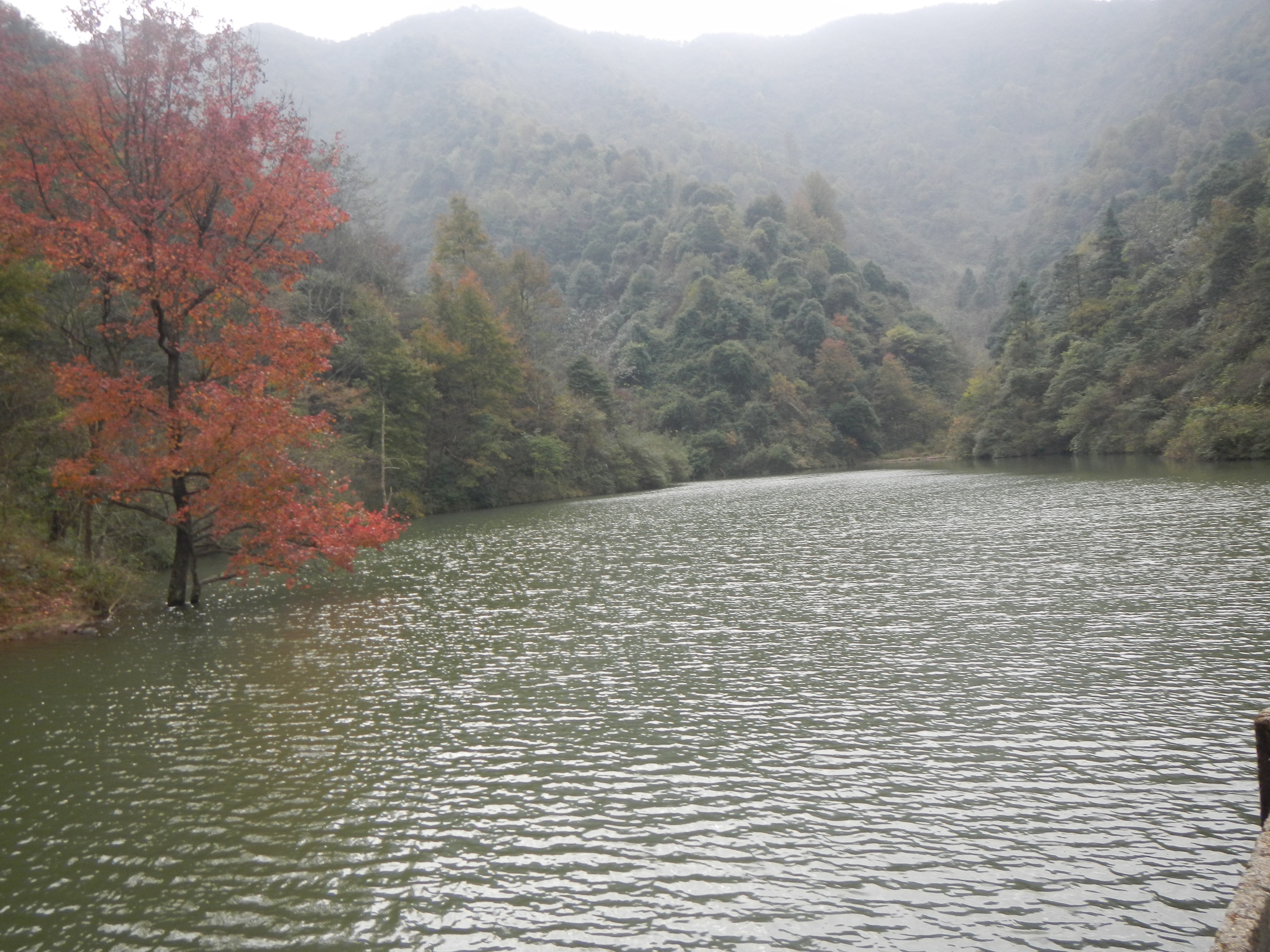 大冲水库