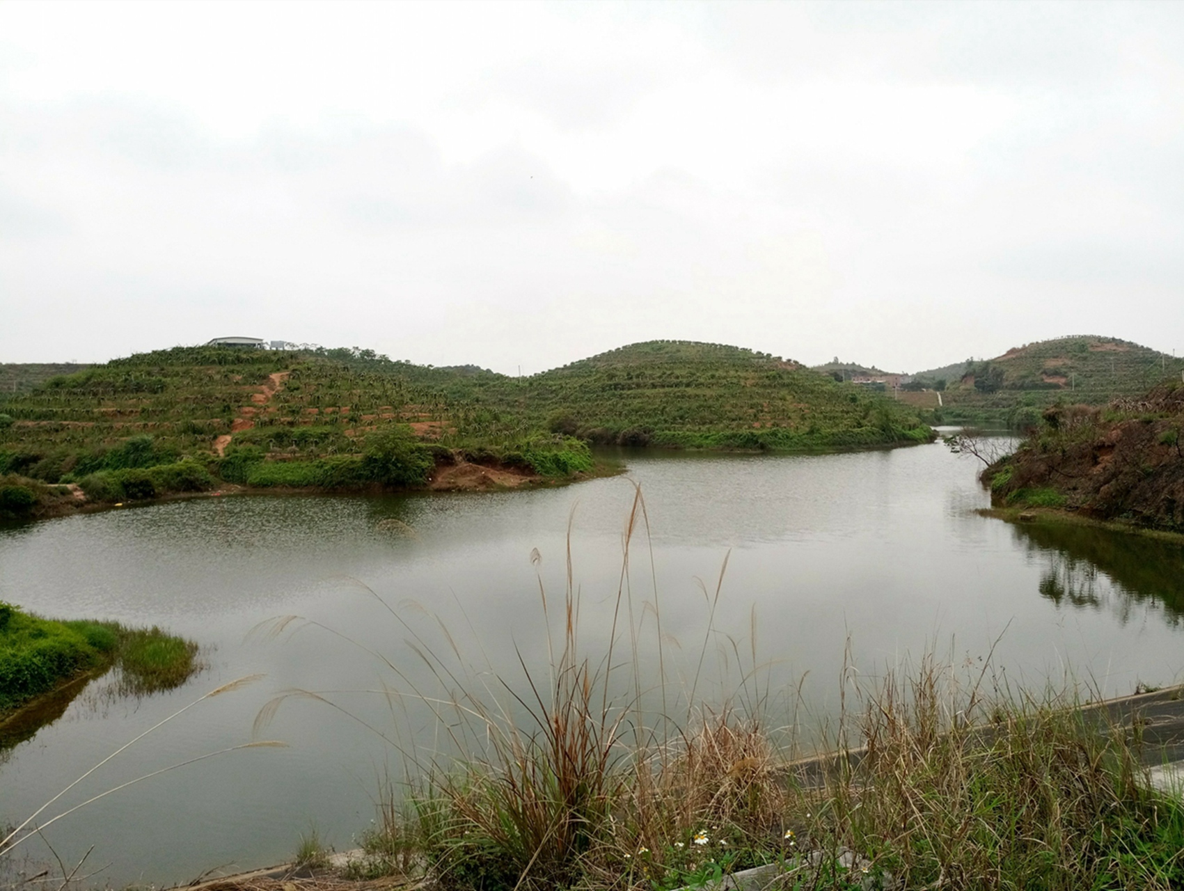 施鬼埇水库