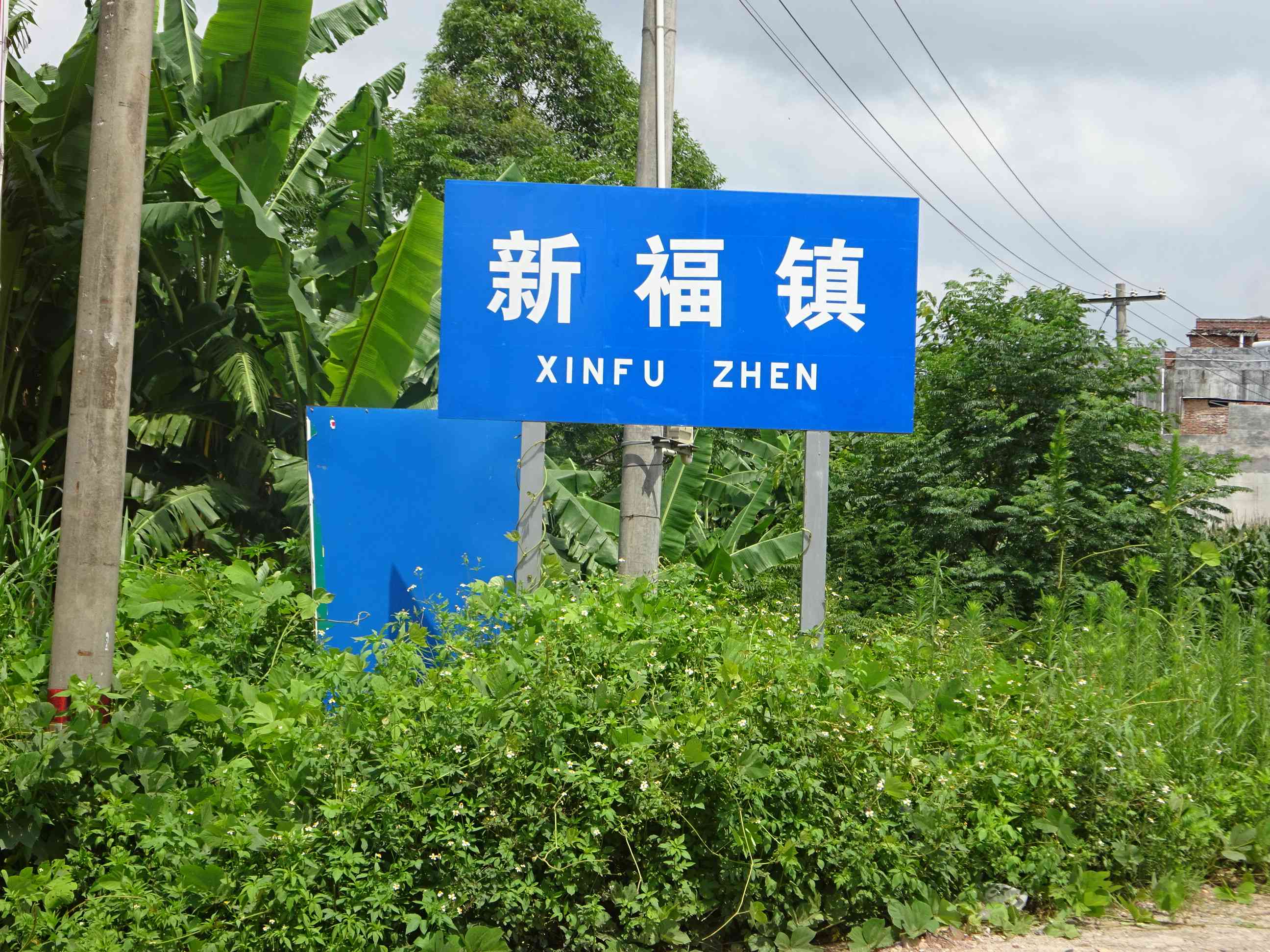 新福镇