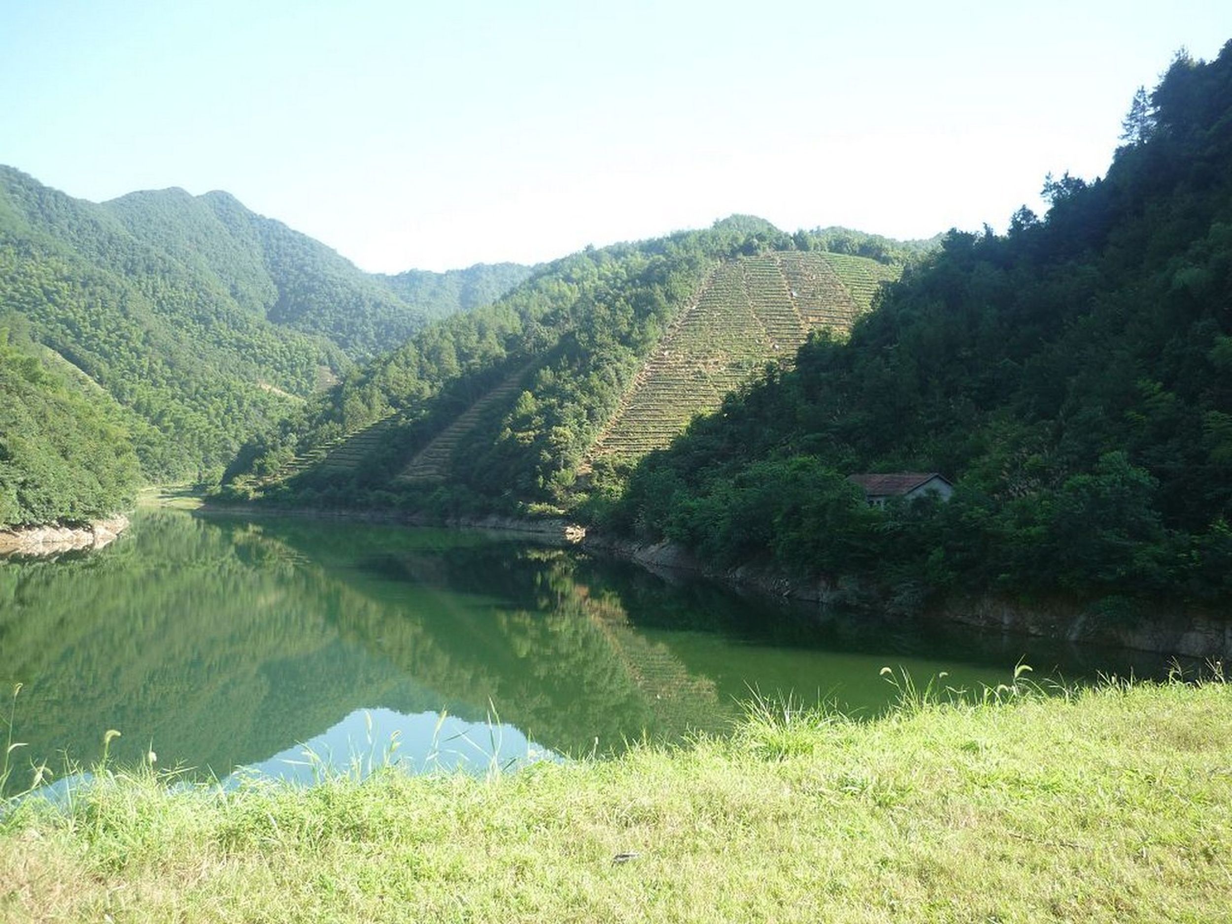 桃花湾水库