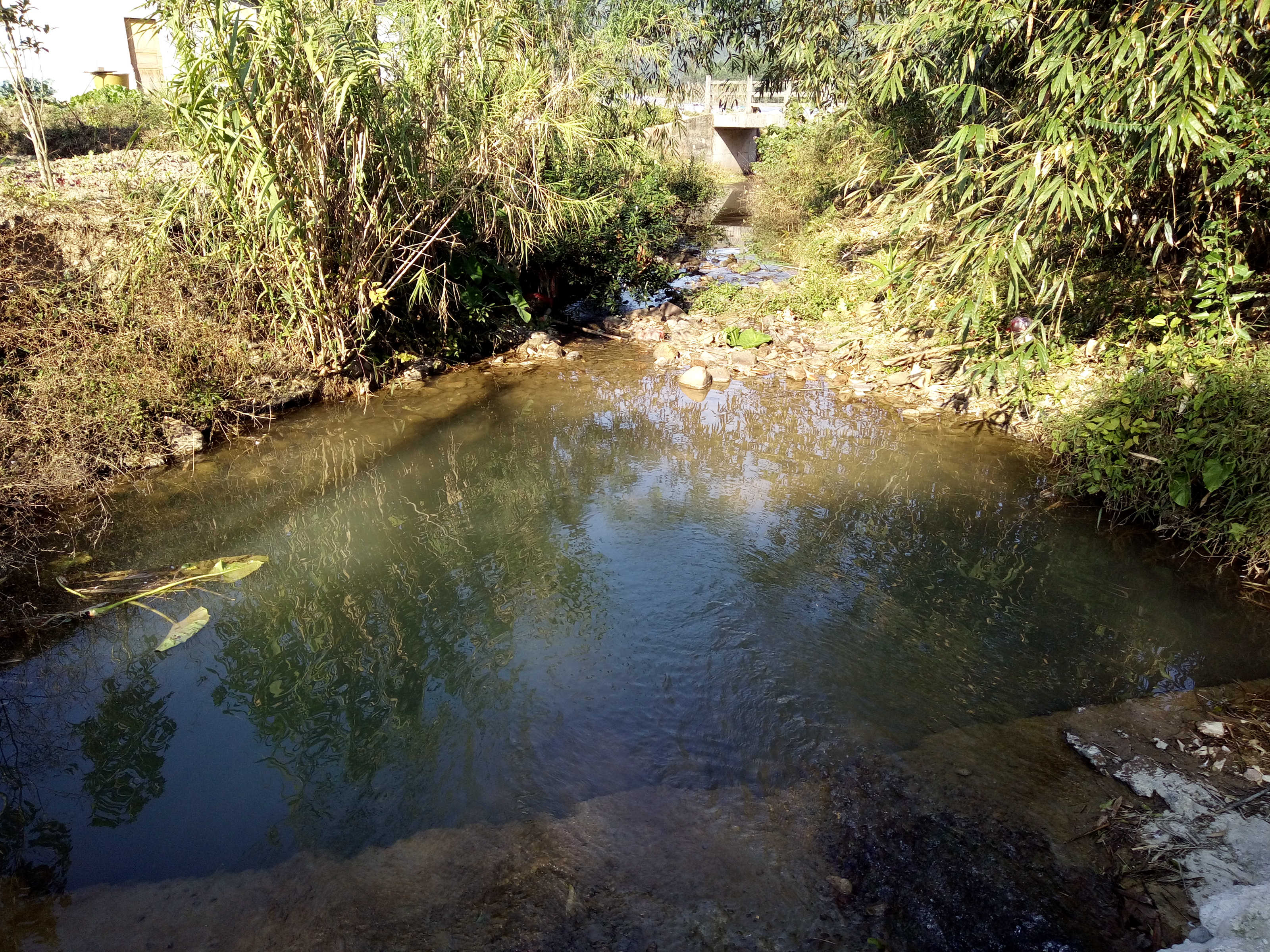 李香湾