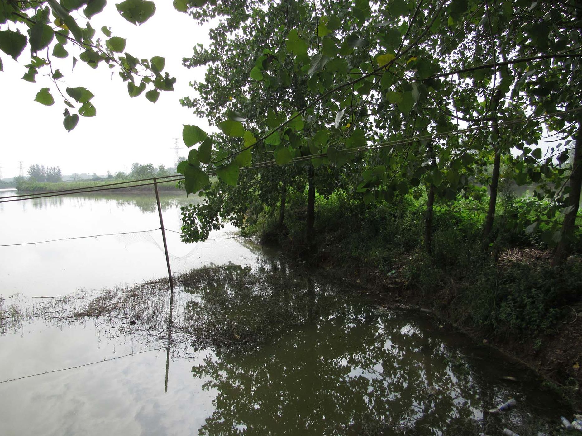 横塘水库