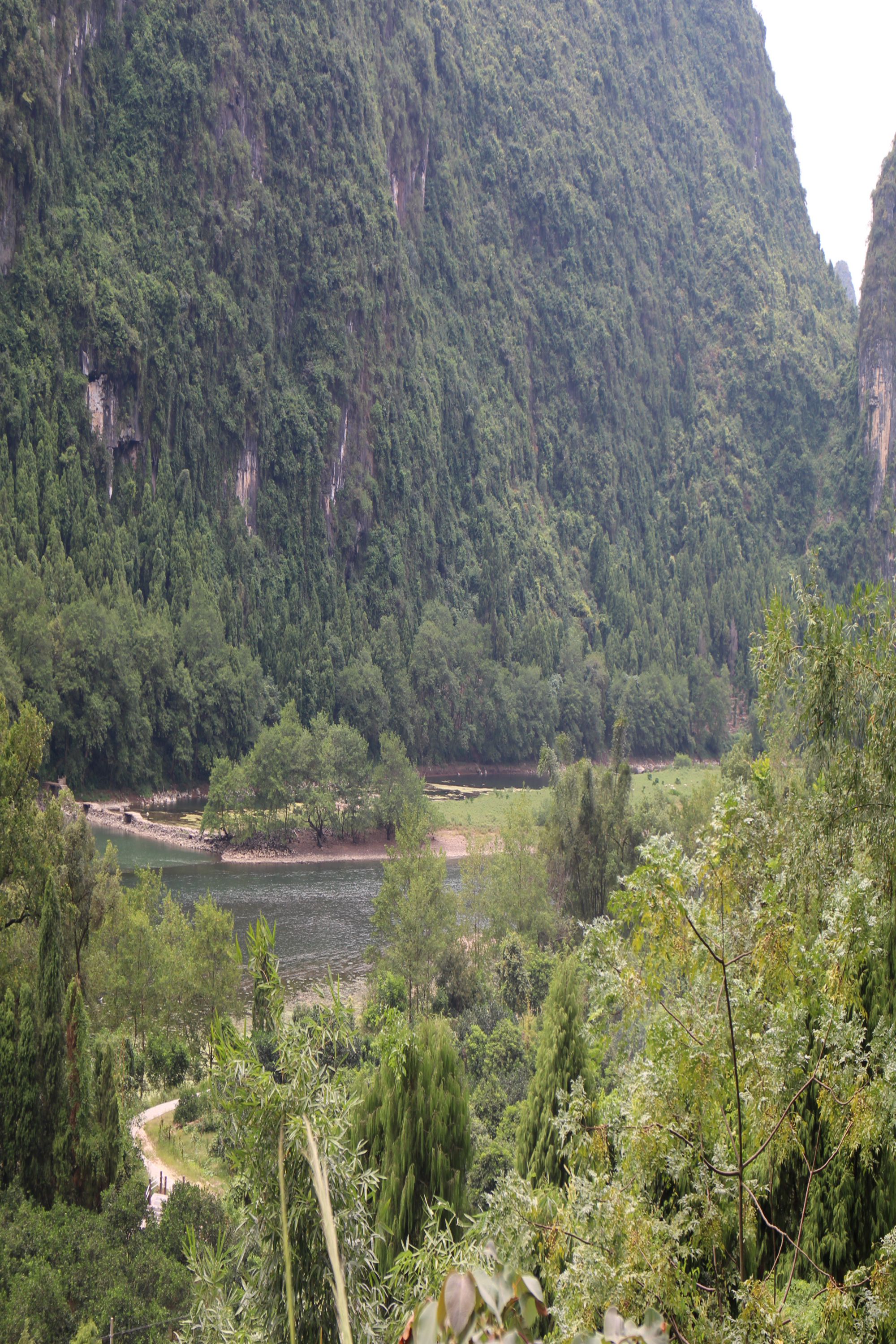 鲤鱼洲