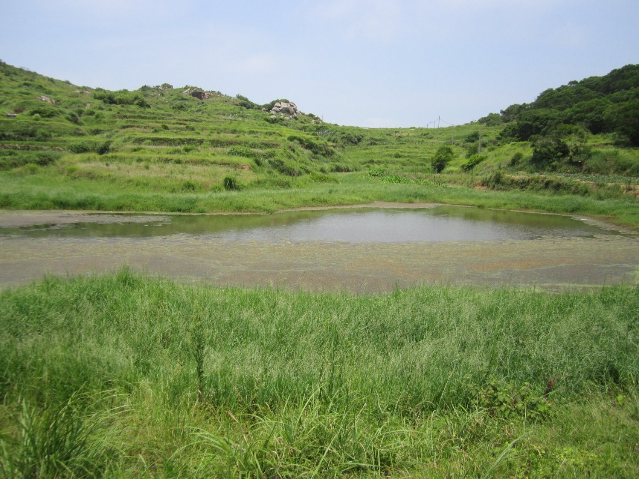 齐富山塘水库