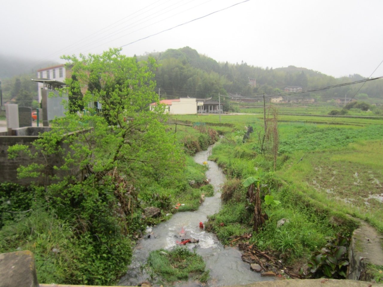 高阳河