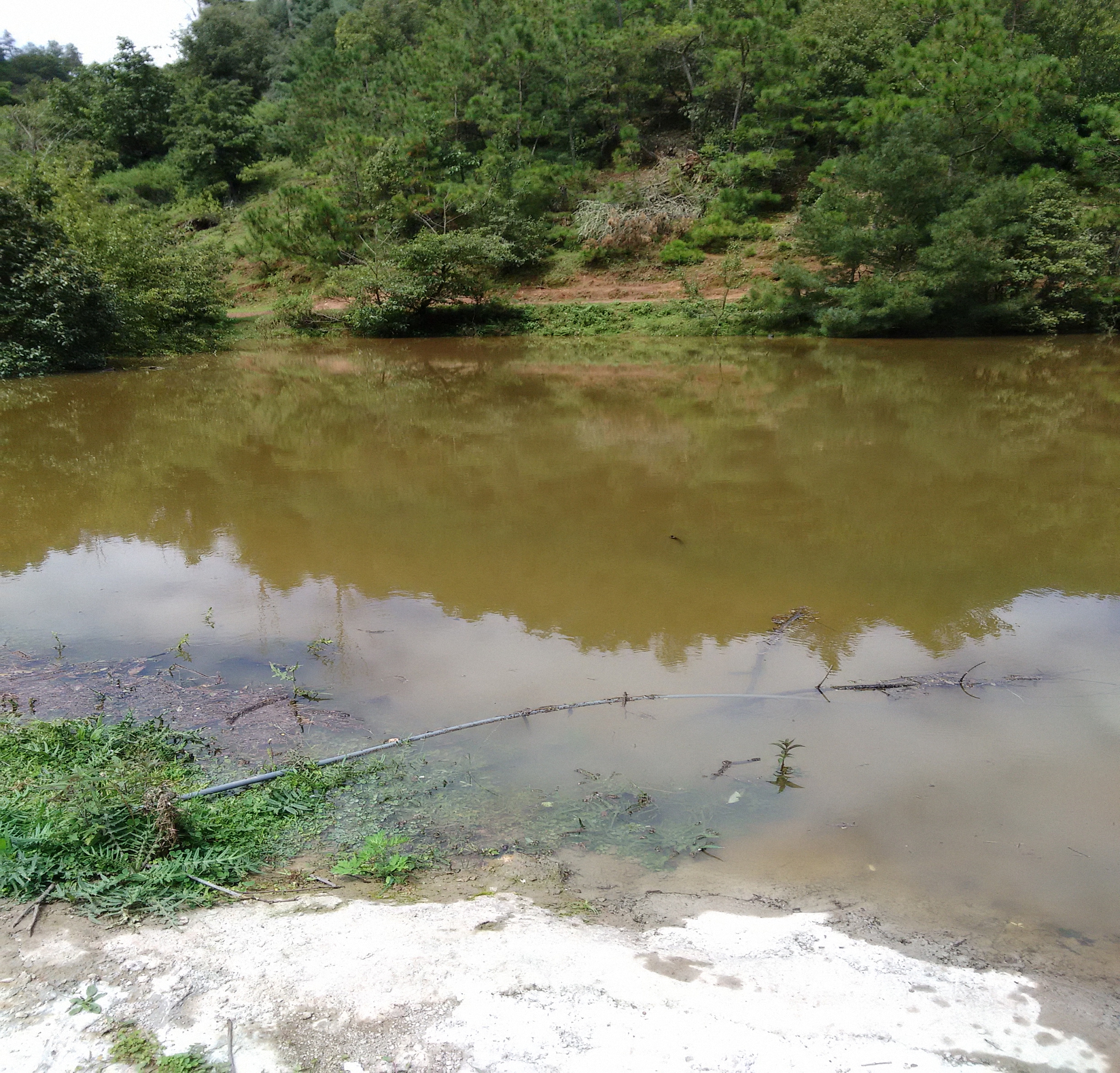 山楂箐水库