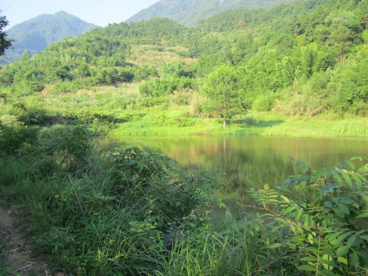 钟里水井头水库