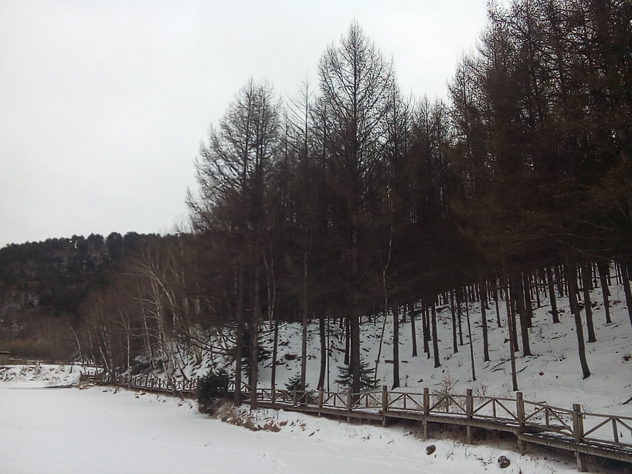 石马沟生态区