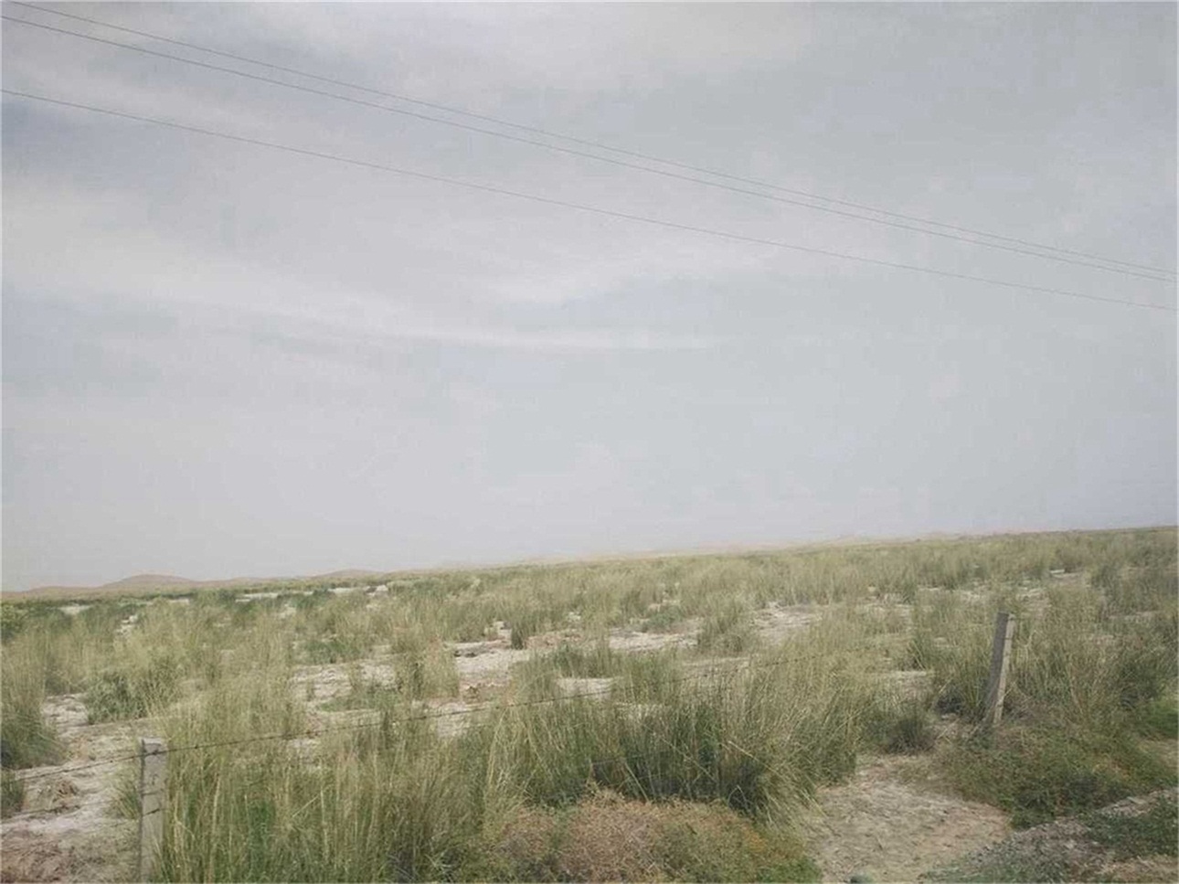 野马大泉