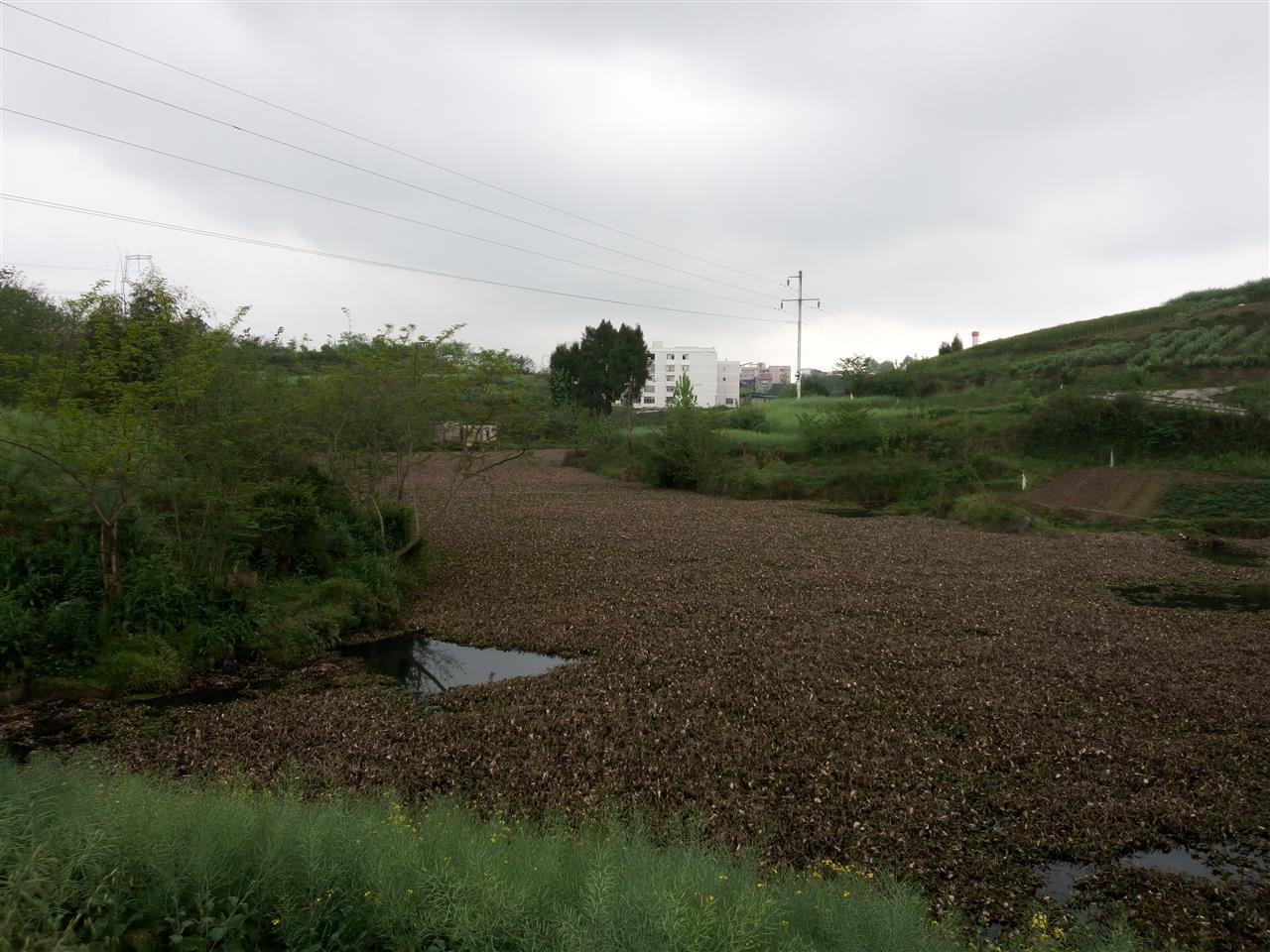 青龙水库